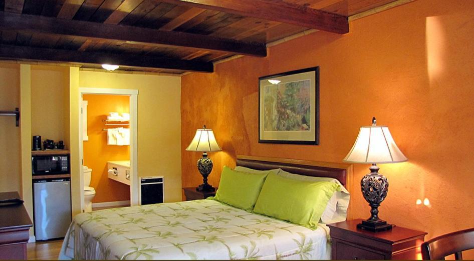 Coast Inn and Spa photo 6