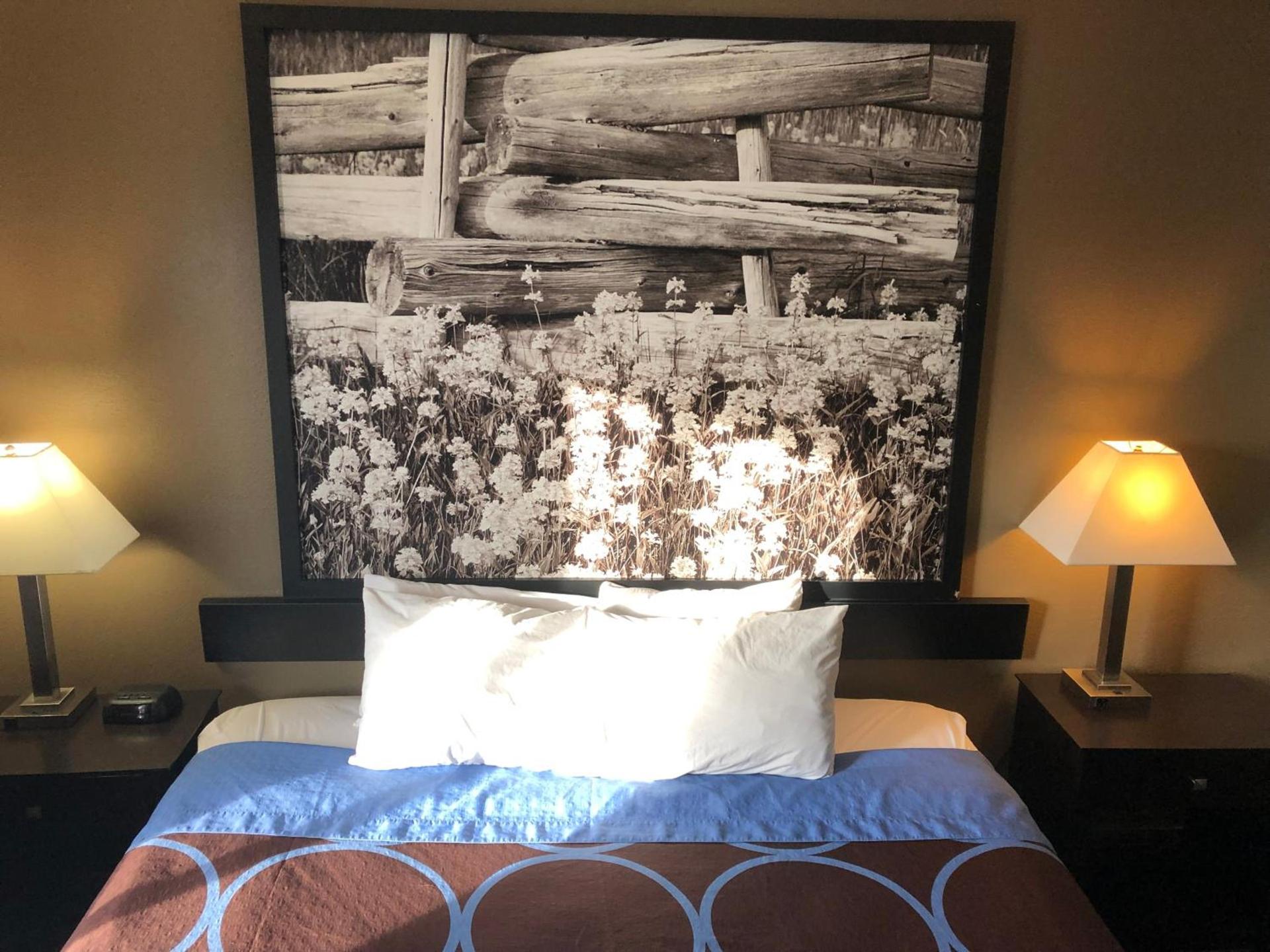 Super 8 by Wyndham Boise photo 15