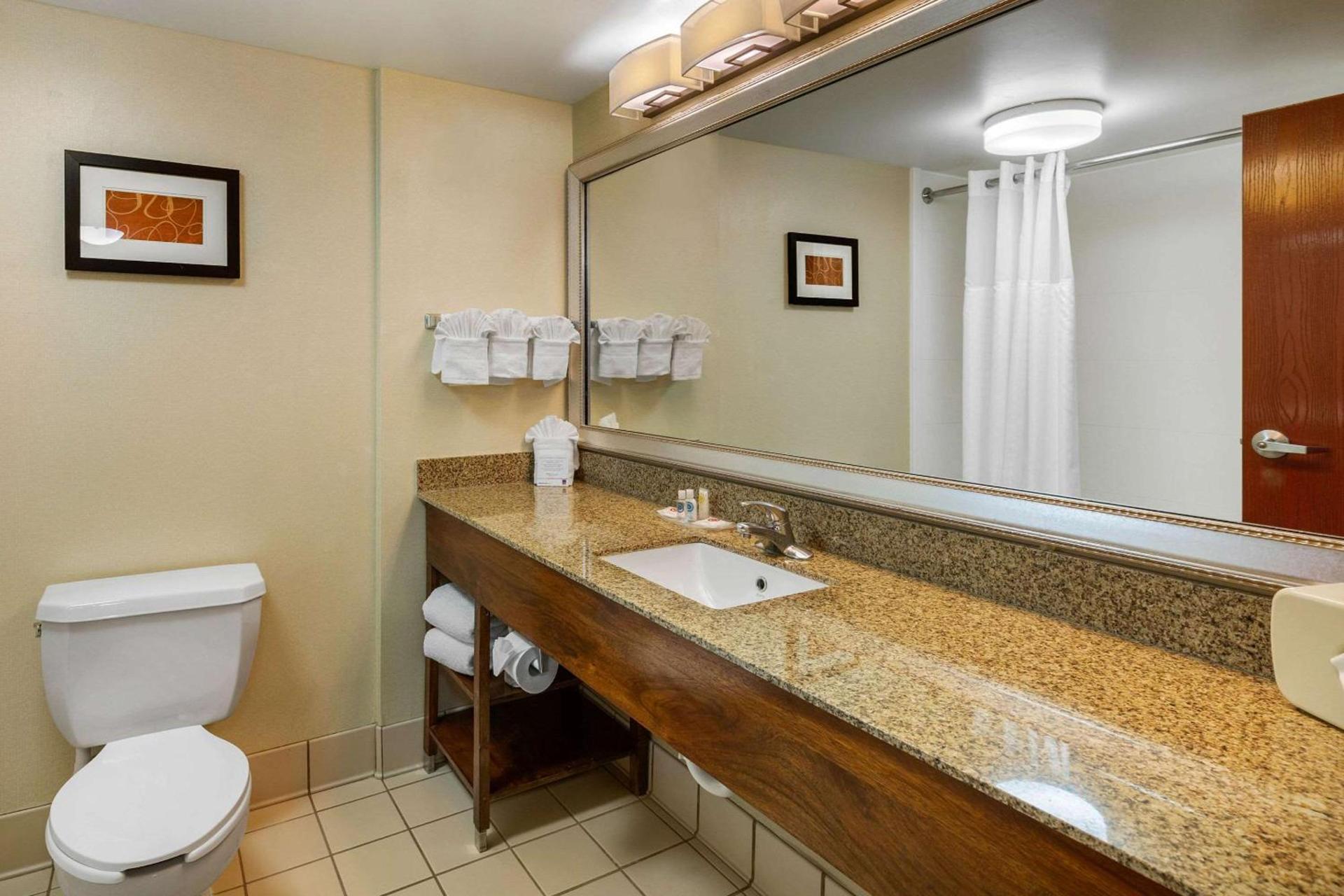 Comfort Suites Manassas Battlefield Park photo 7