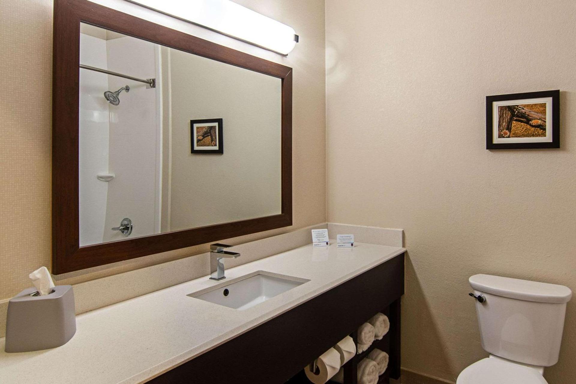Comfort Suites NW Dallas Near Love Field photo 28