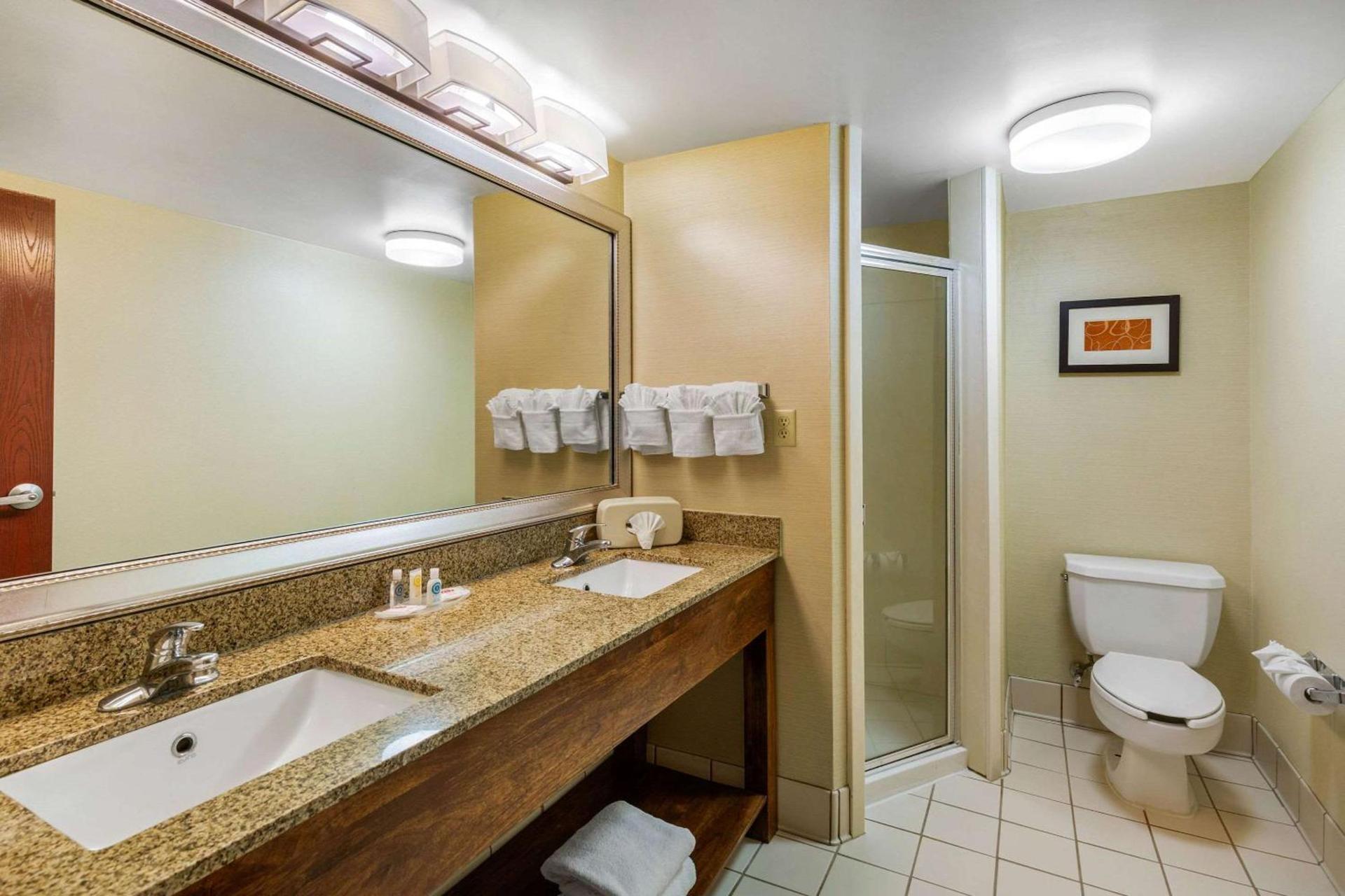 Comfort Suites Manassas Battlefield Park photo 19