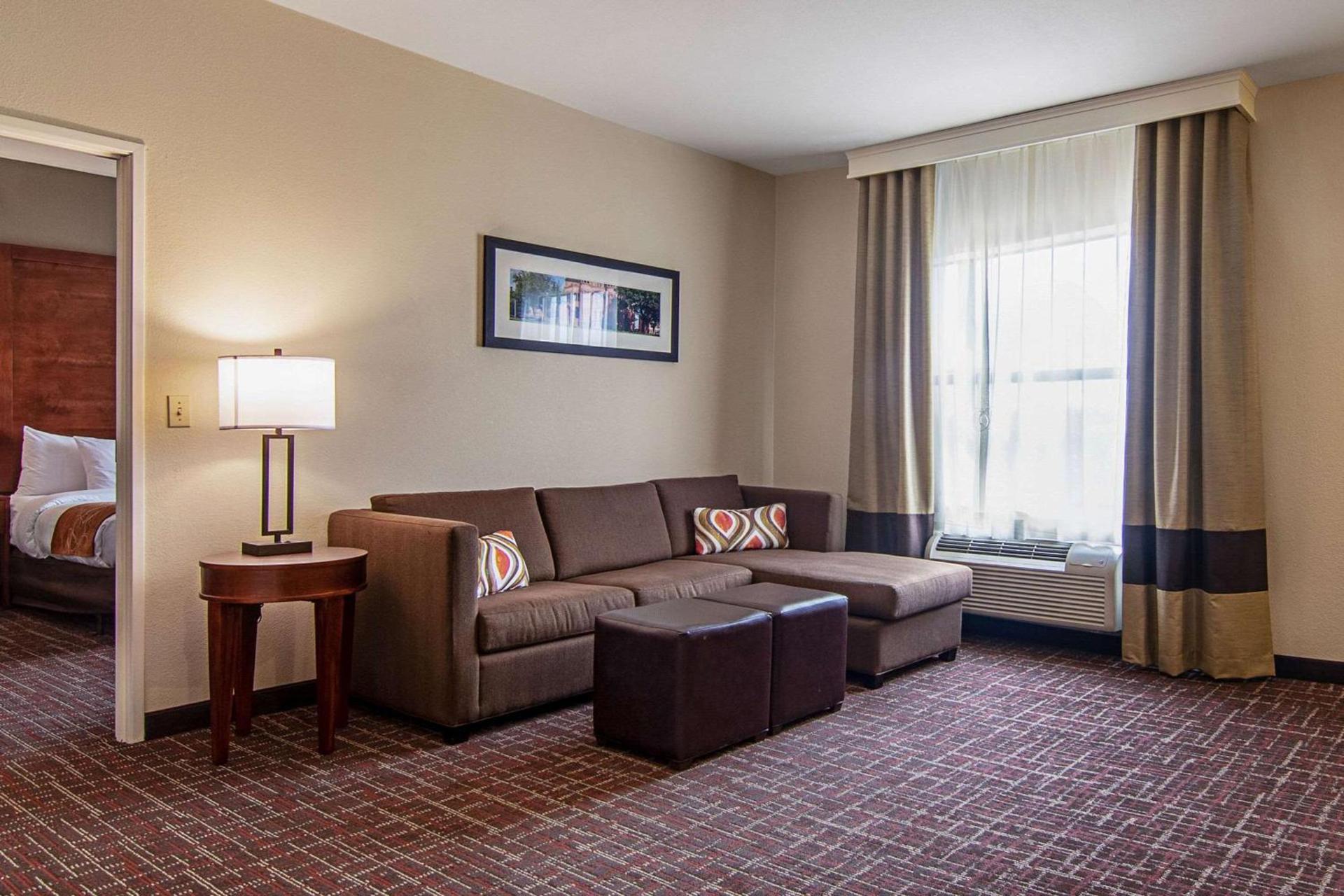 Comfort Suites NW Dallas Near Love Field photo 23