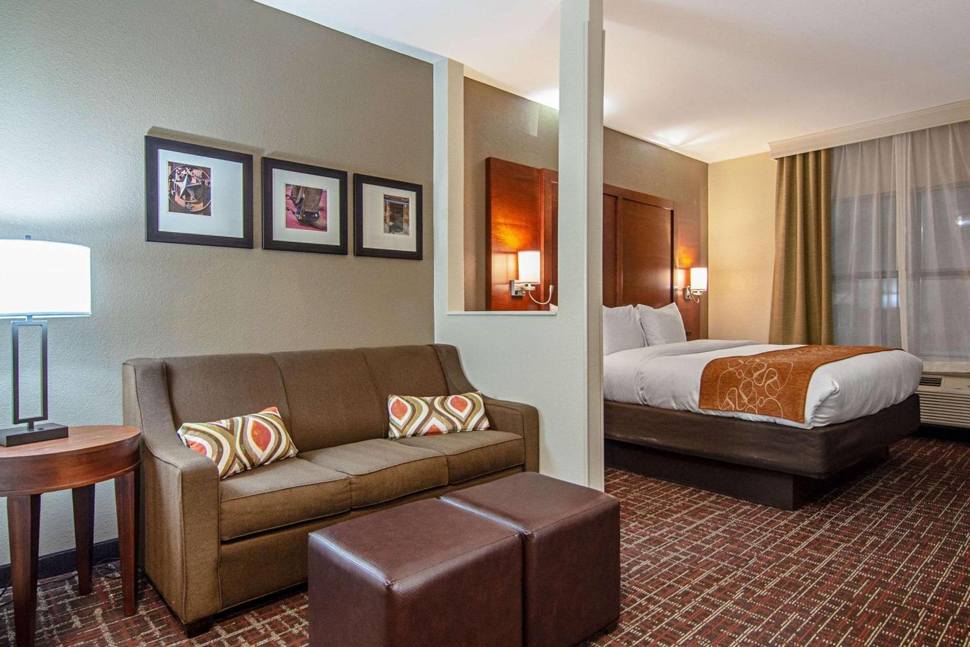 Comfort Suites NW Dallas Near Love Field photo 29
