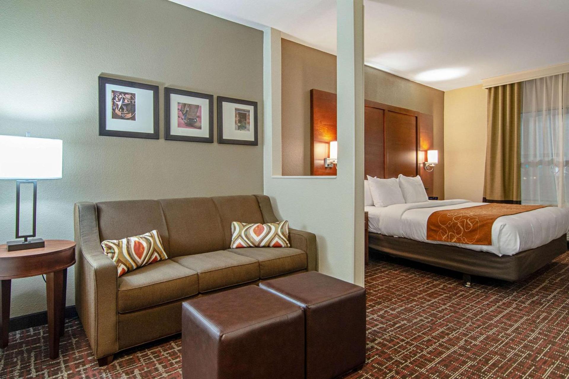 Comfort Suites NW Dallas Near Love Field photo 15