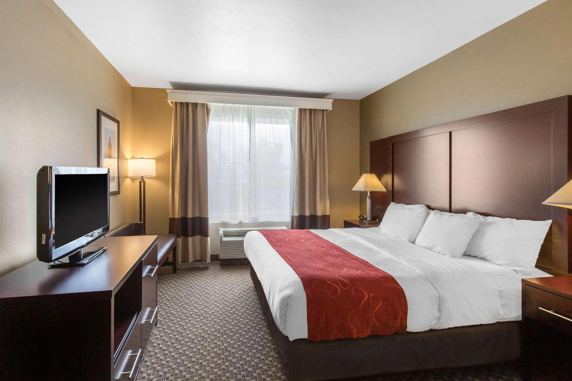 Comfort Suites Seaford photo 13