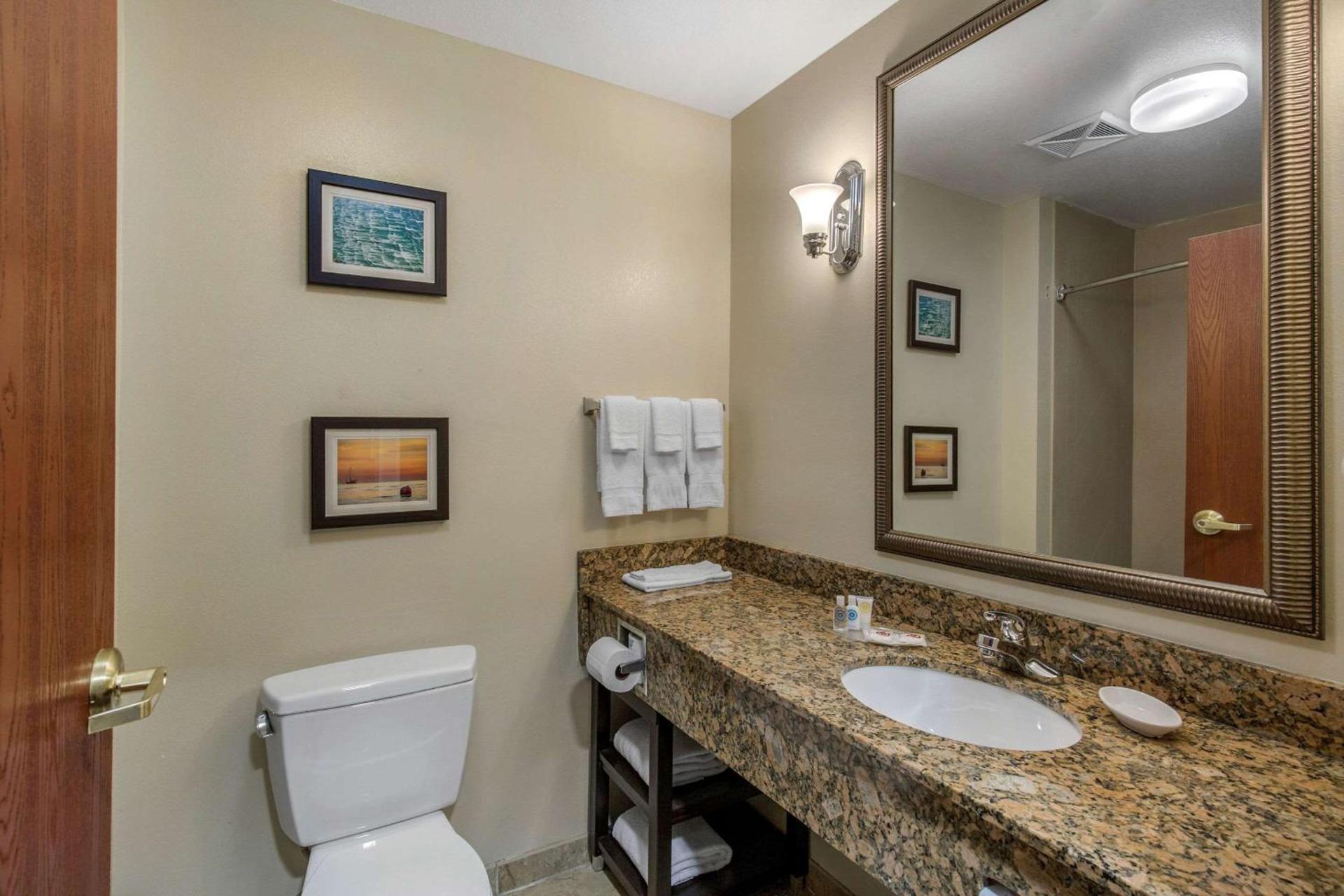 Comfort Suites Seaford photo 29