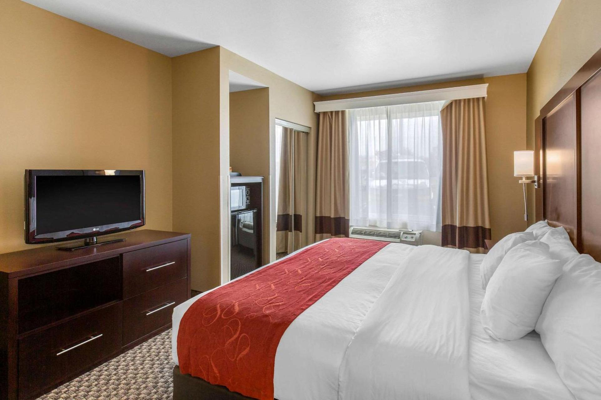 Comfort Suites Seaford photo 10