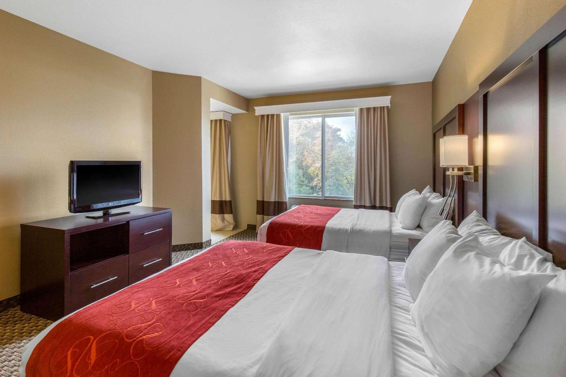 Comfort Suites Seaford photo 21