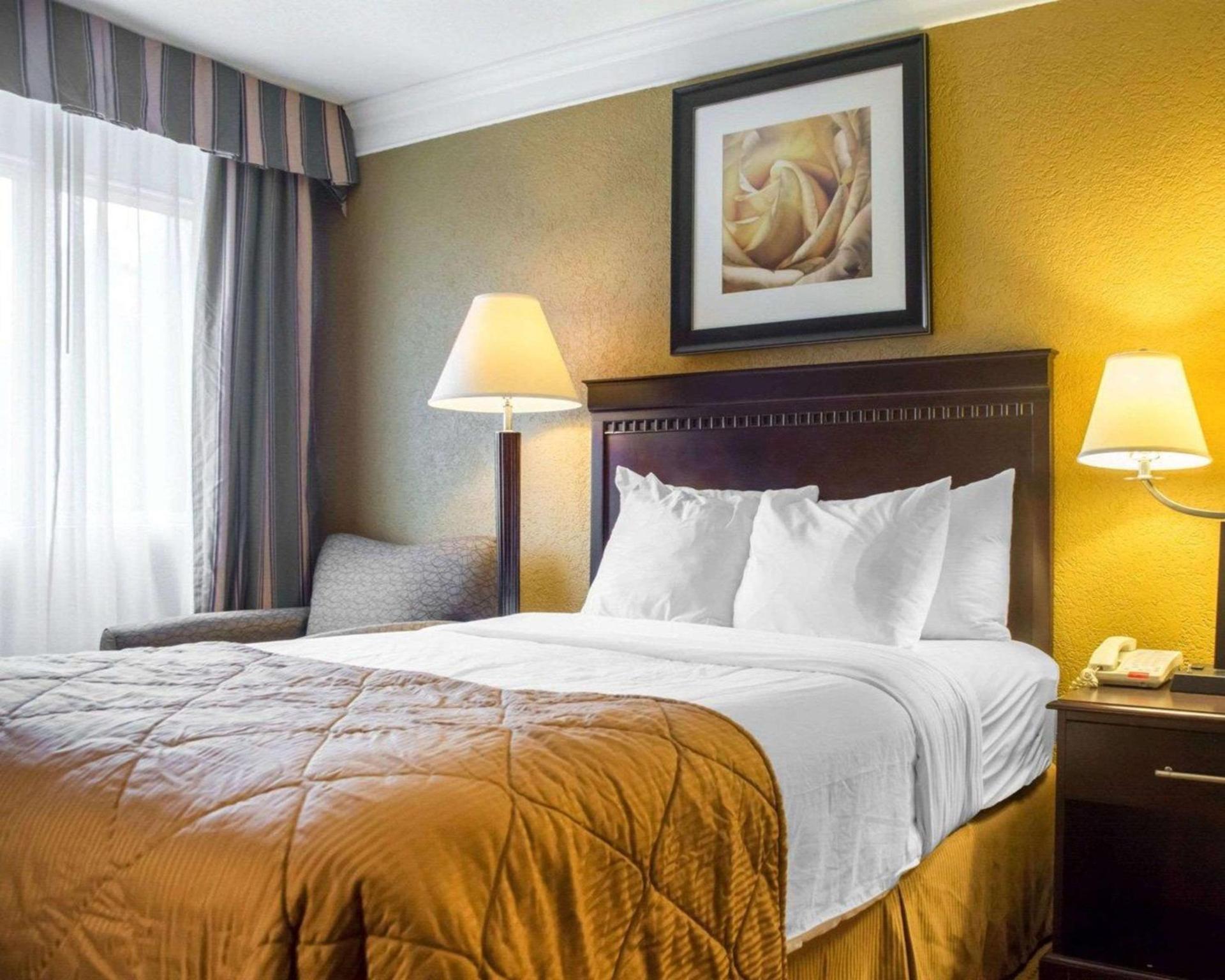 Quality Inn & Suites Syracuse Fairgrounds photo 8