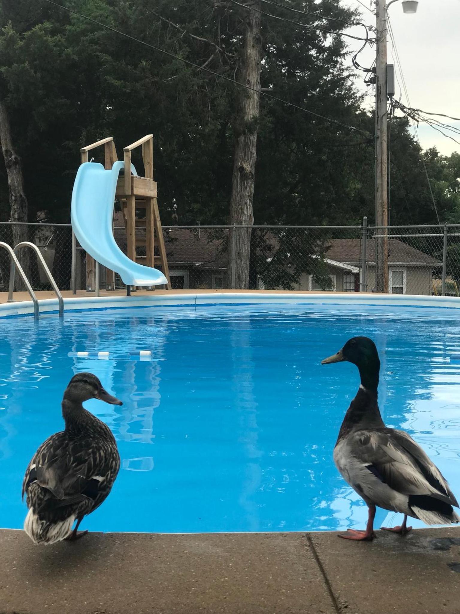 Calm Waters Resort photo 88