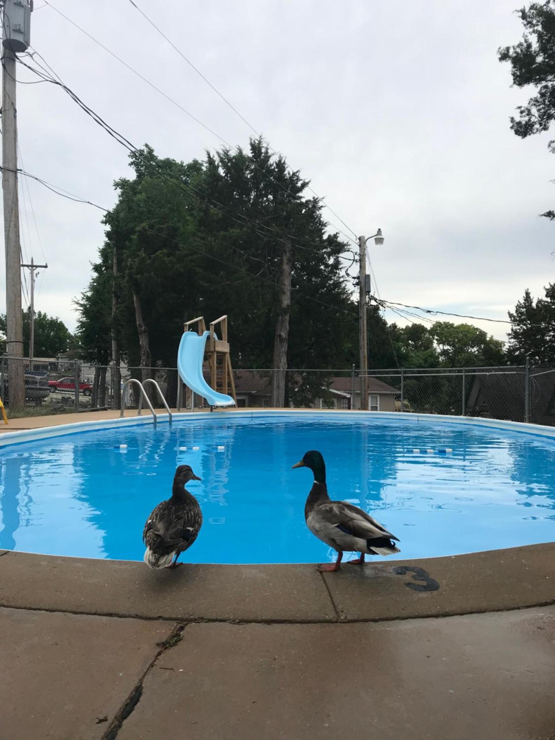 Calm Waters Resort photo 71
