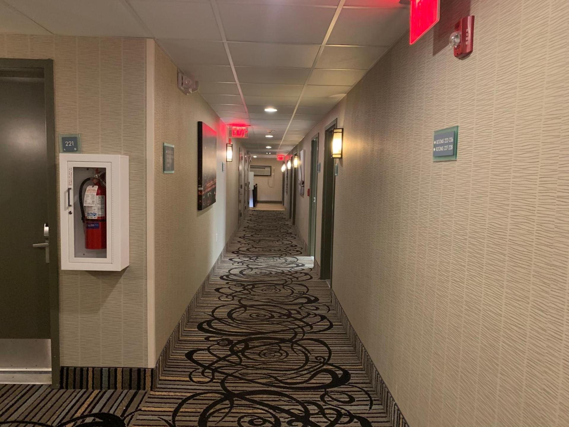 Red Carpet Inn Elmwood photo 12