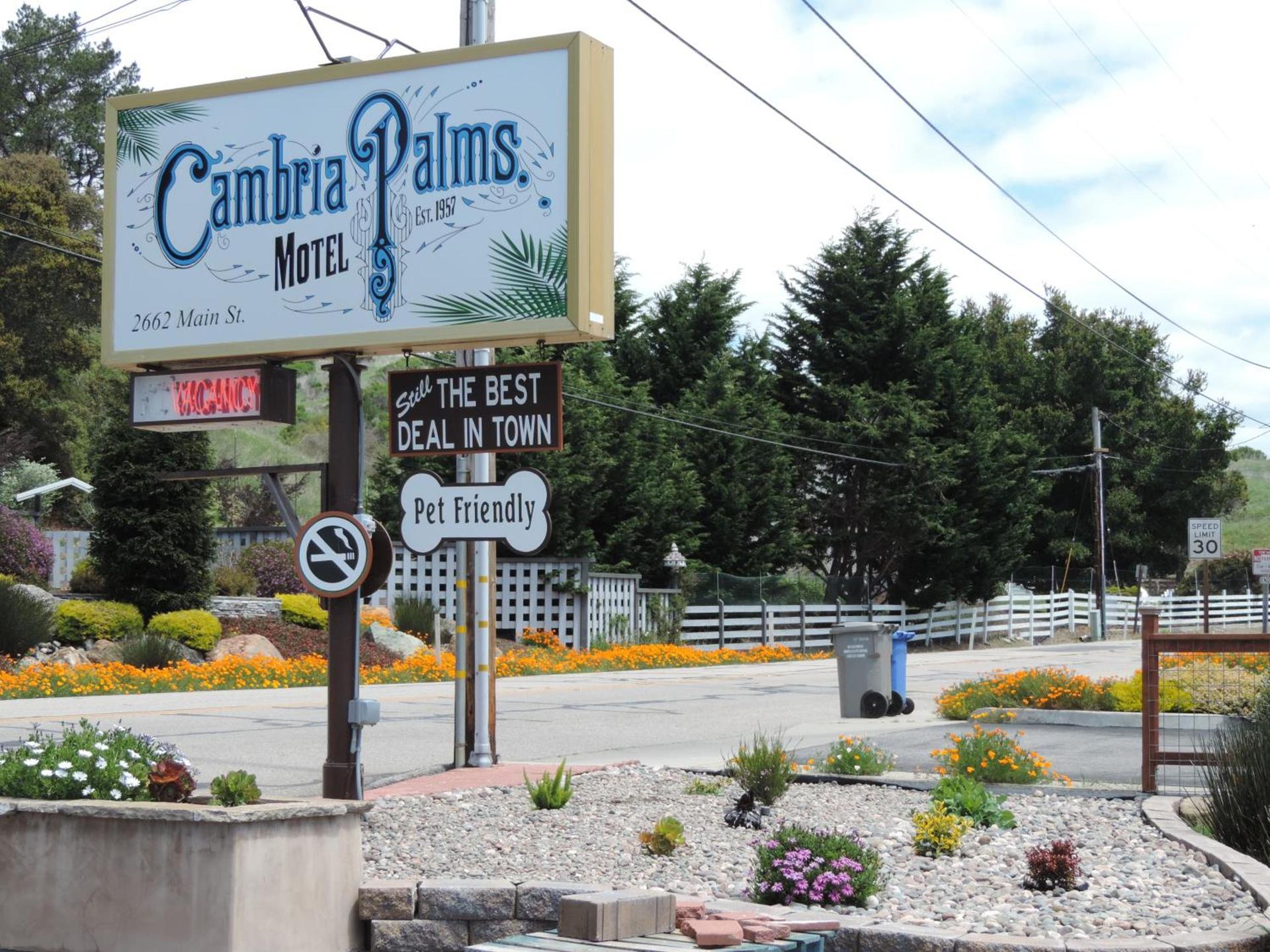 Cambria Palms Motel photo 15