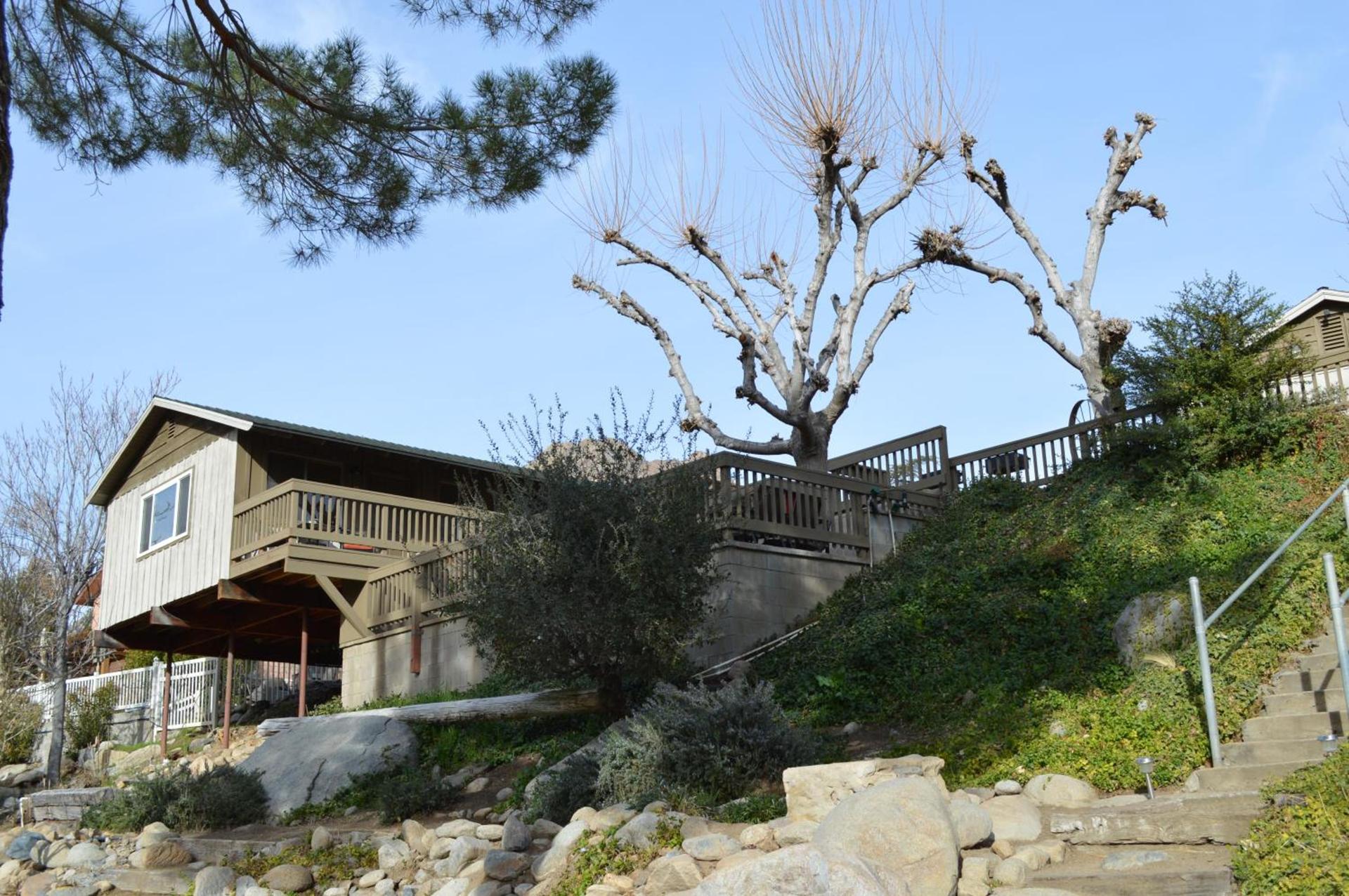 Sequoia Lodge photo 2