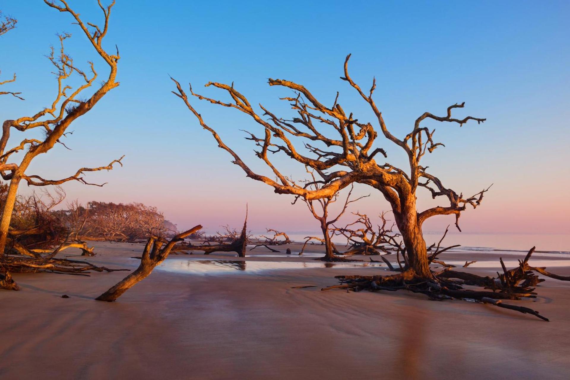 Jekyll Island Club Resort photo 10