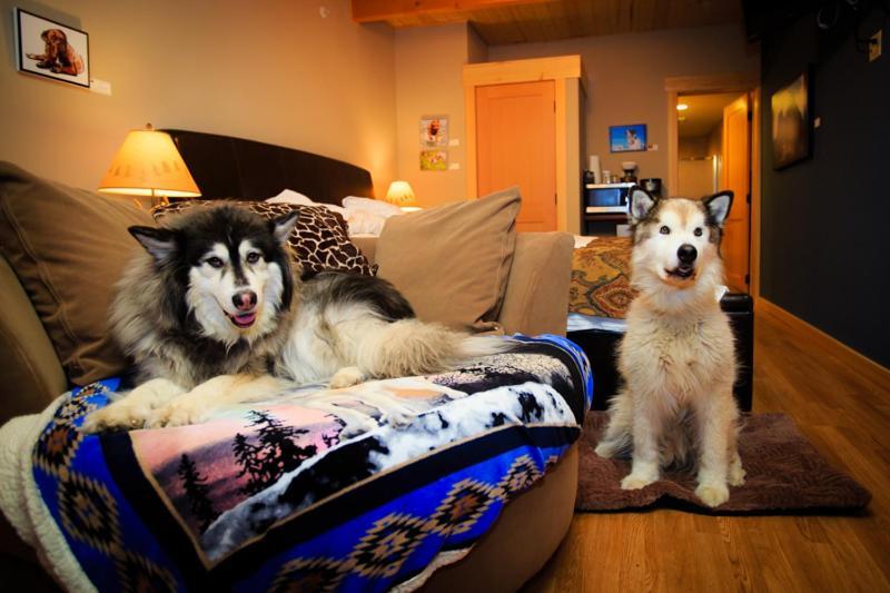 Twisp River Suites photo 11