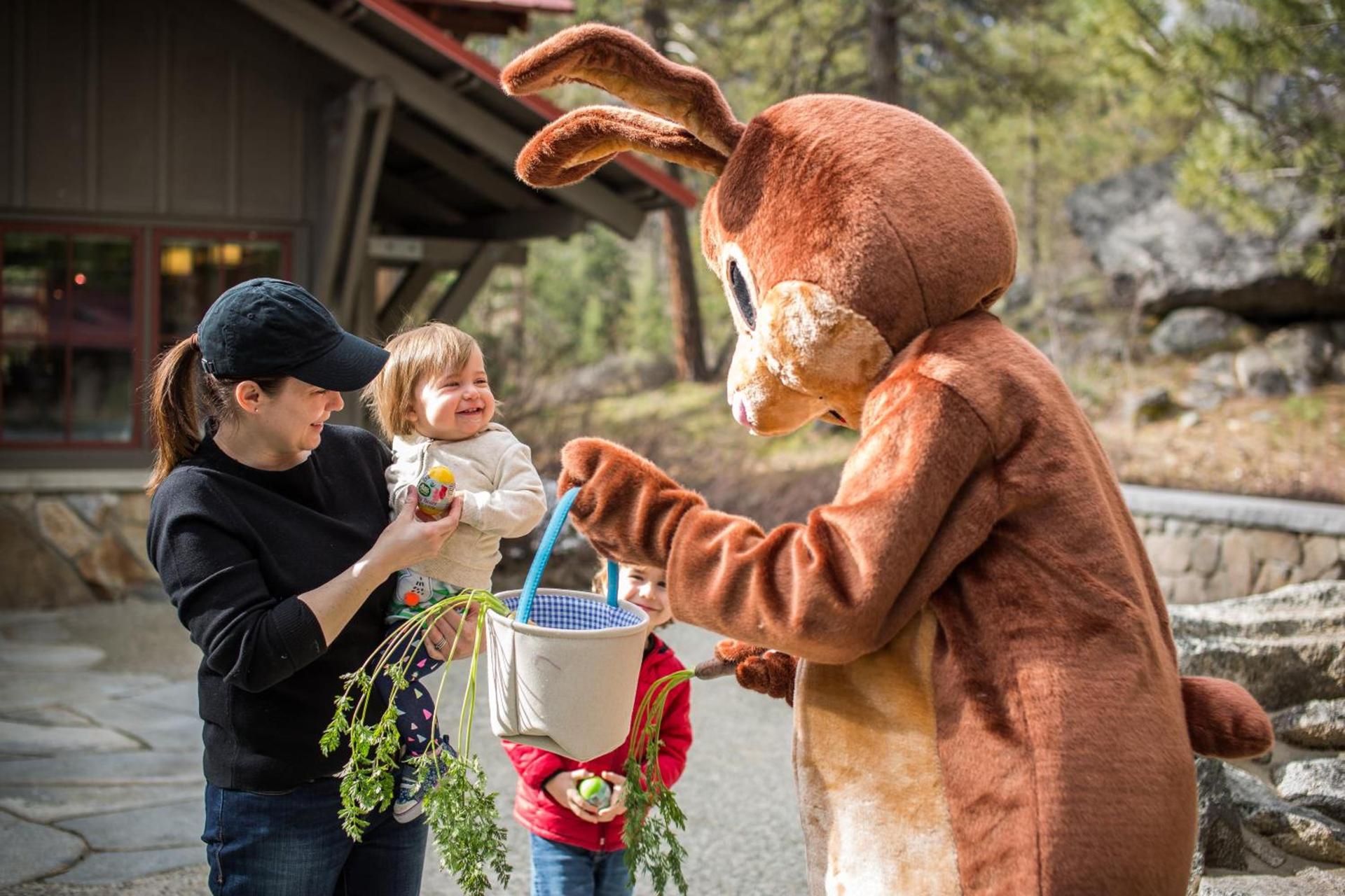 Sleeping Lady Mountain Resort & Spa photo 21