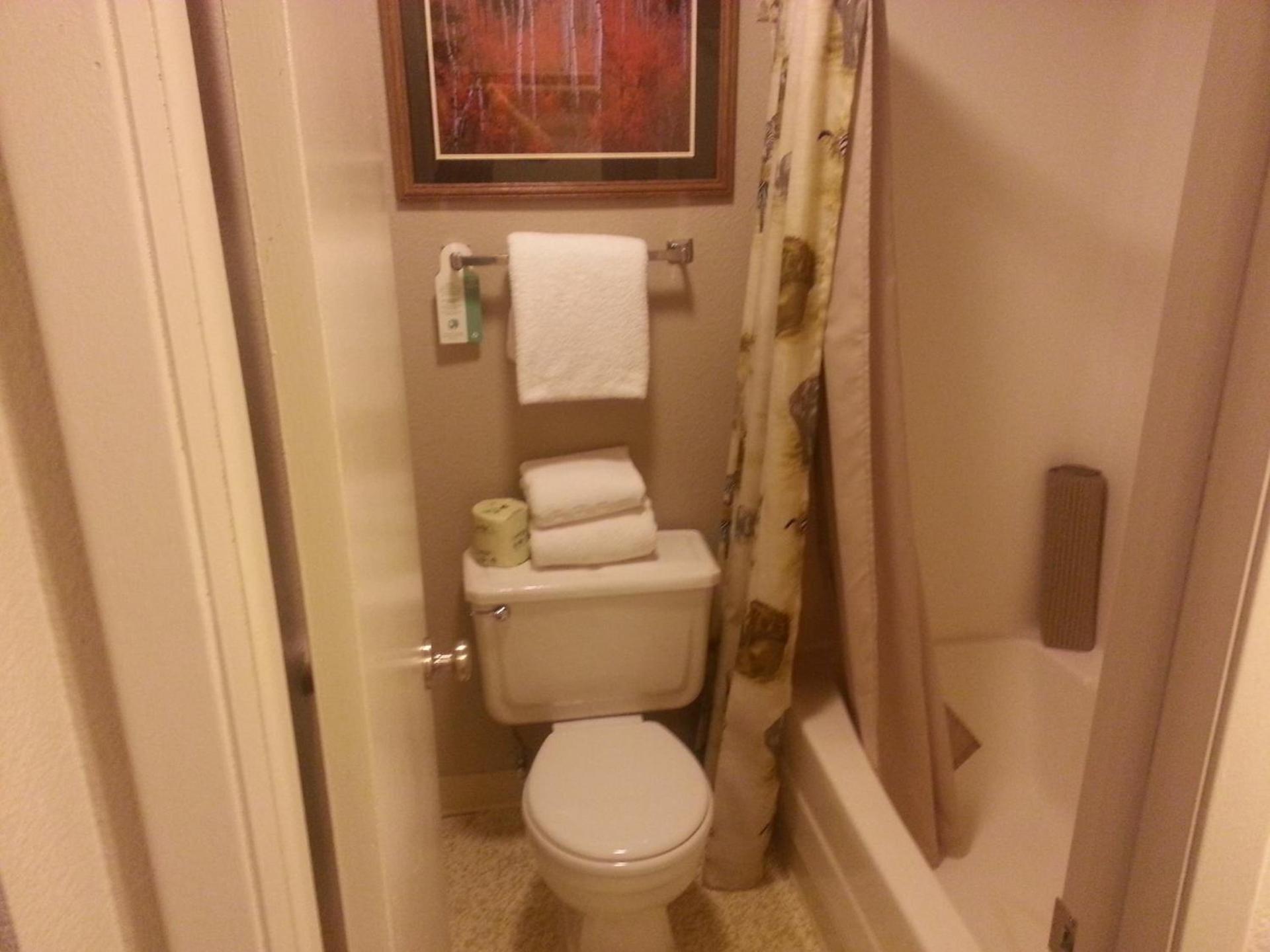 Mingo Motel photo 19