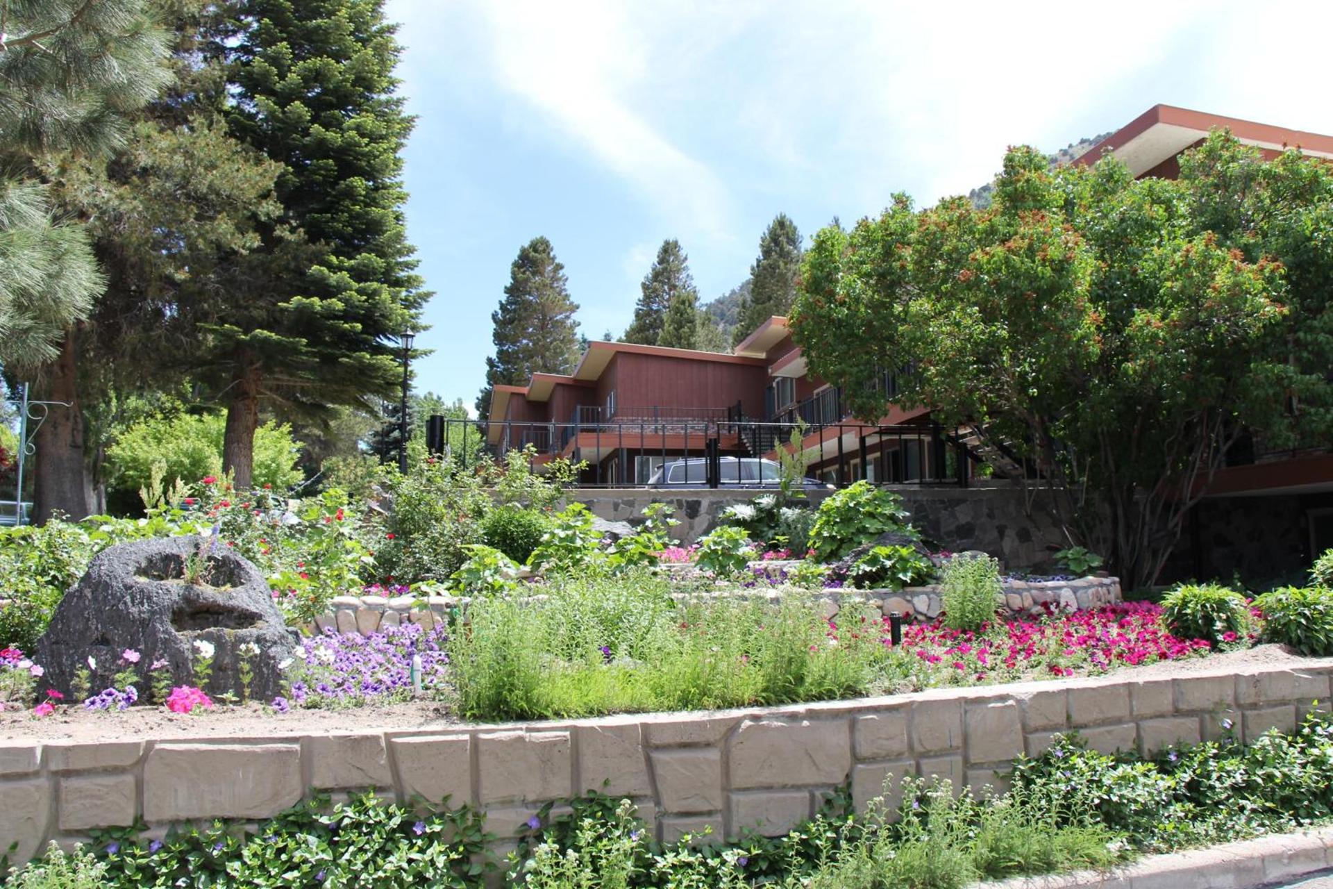 Lake View Lodge photo 3