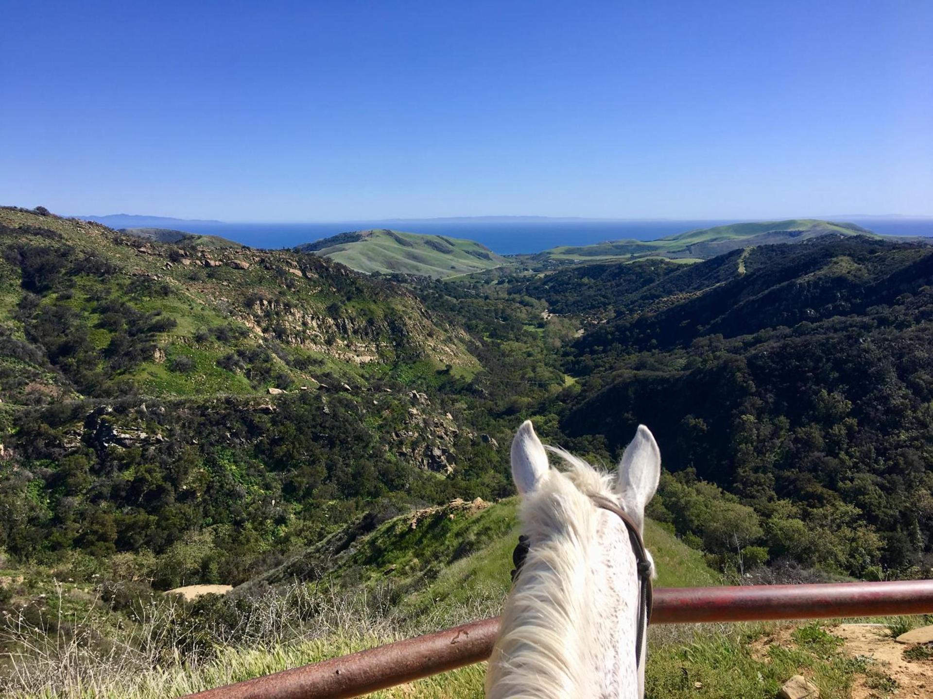 Circle Bar B Guest Ranch photo 18