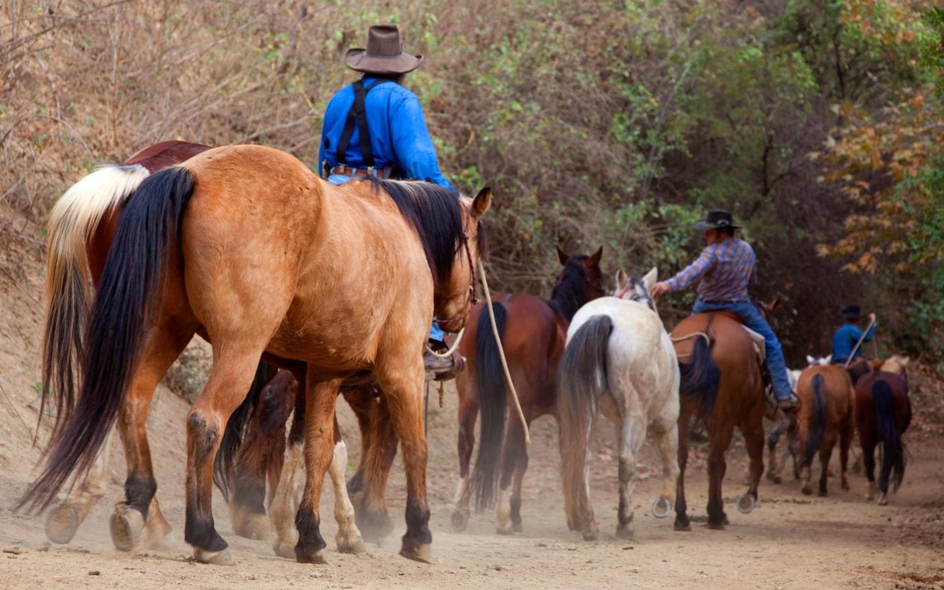 Circle Bar B Guest Ranch photo 27
