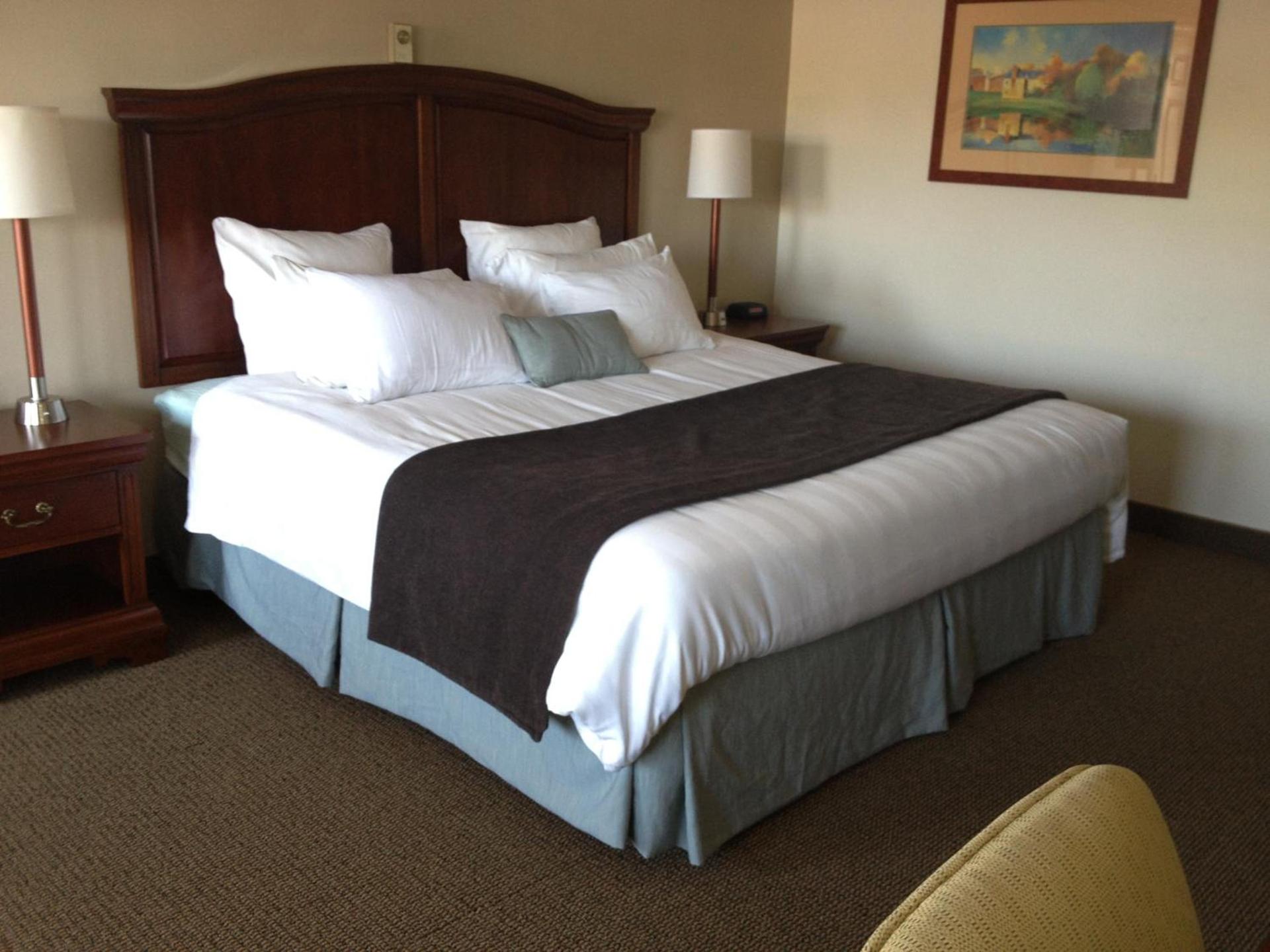 Holiday Hill Inn & Suites photo 21