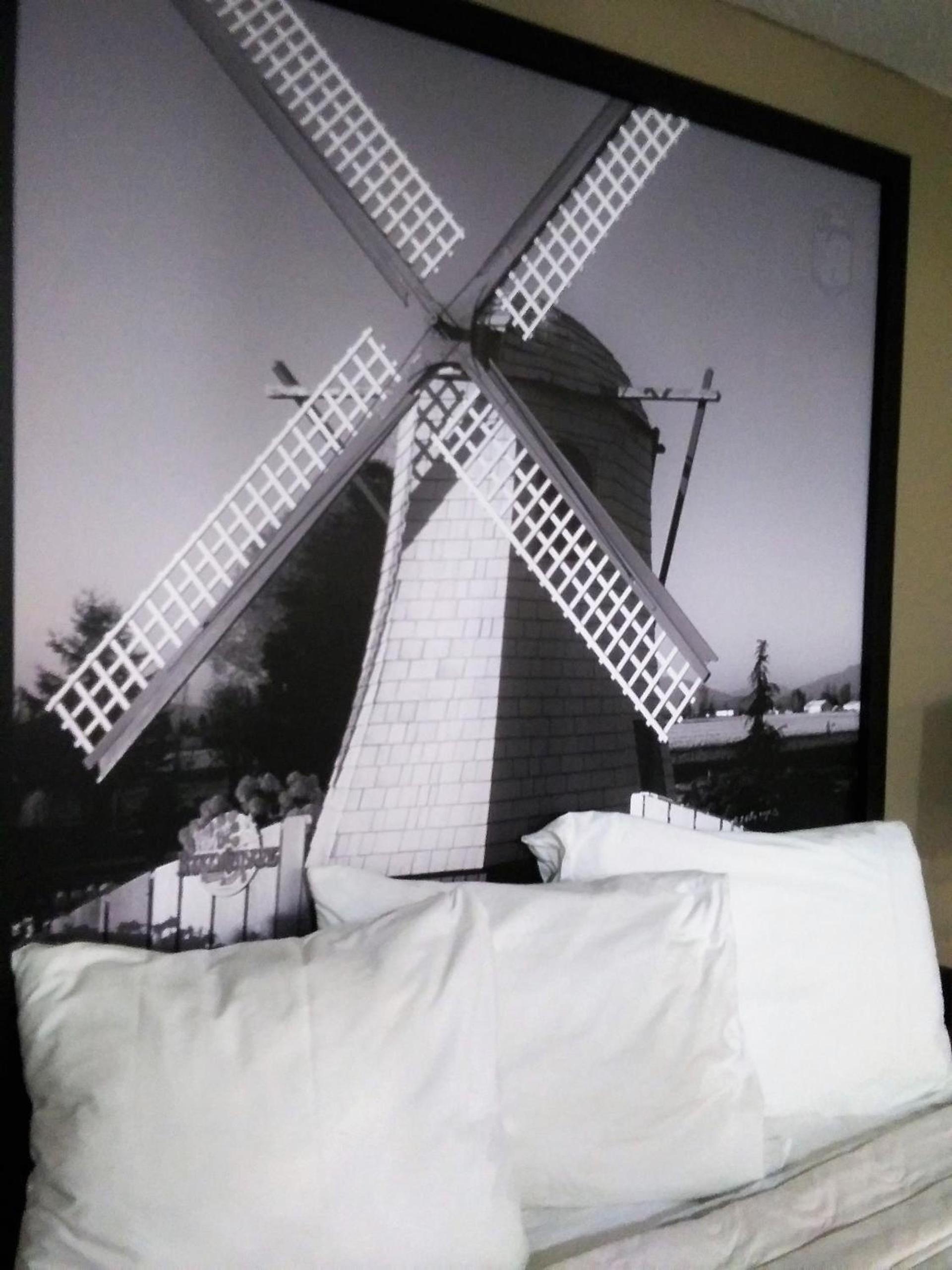 Sutton Suites Hotel photo 22
