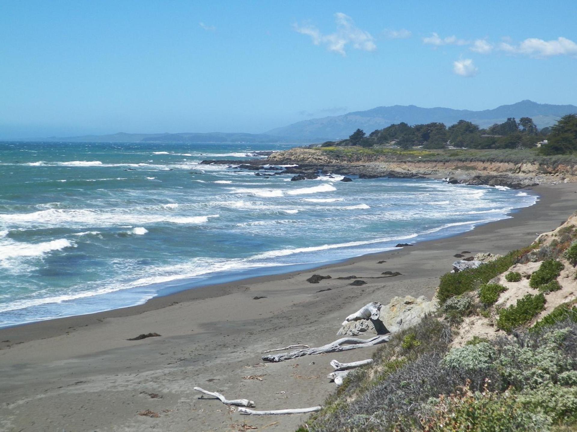 Sea Otter Inn photo 48