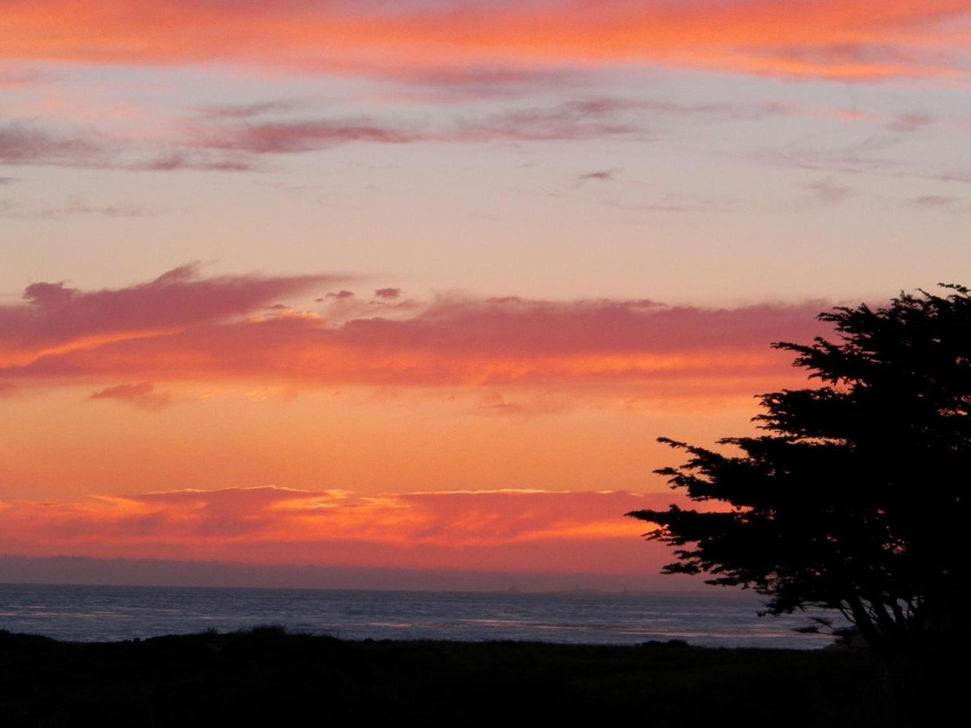 Sea Otter Inn photo 8
