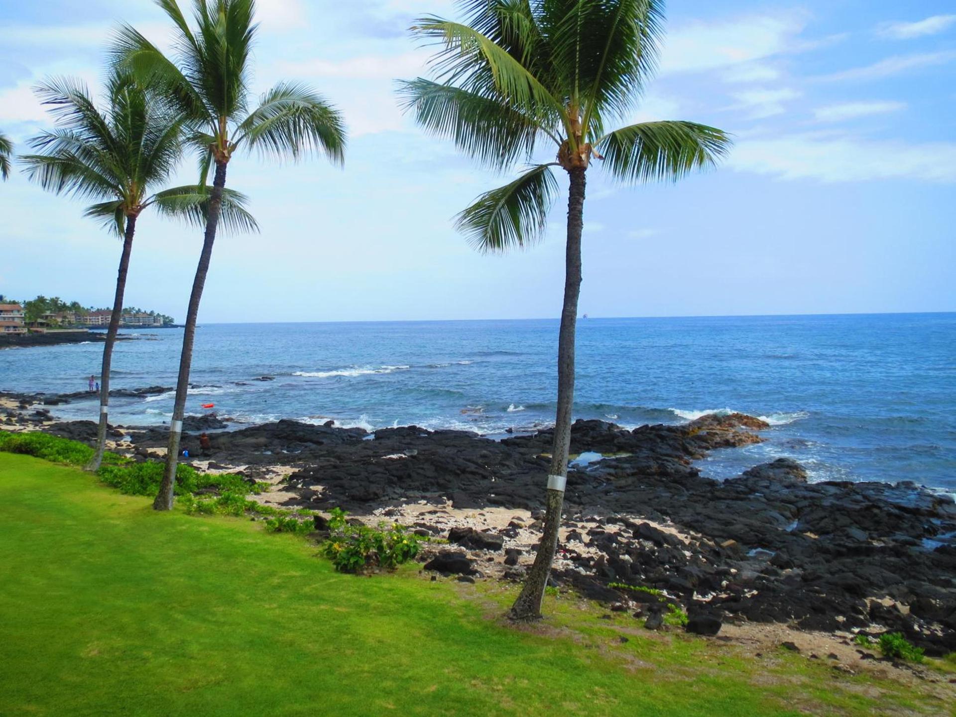 Kona Reef Resort by Latour Group photo 21