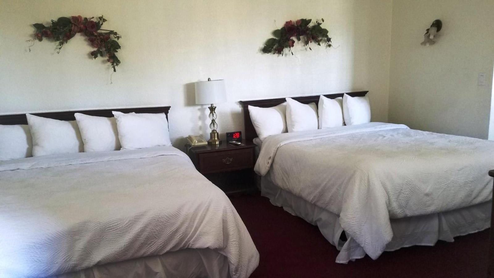 Stanford Motor Inn photo 15