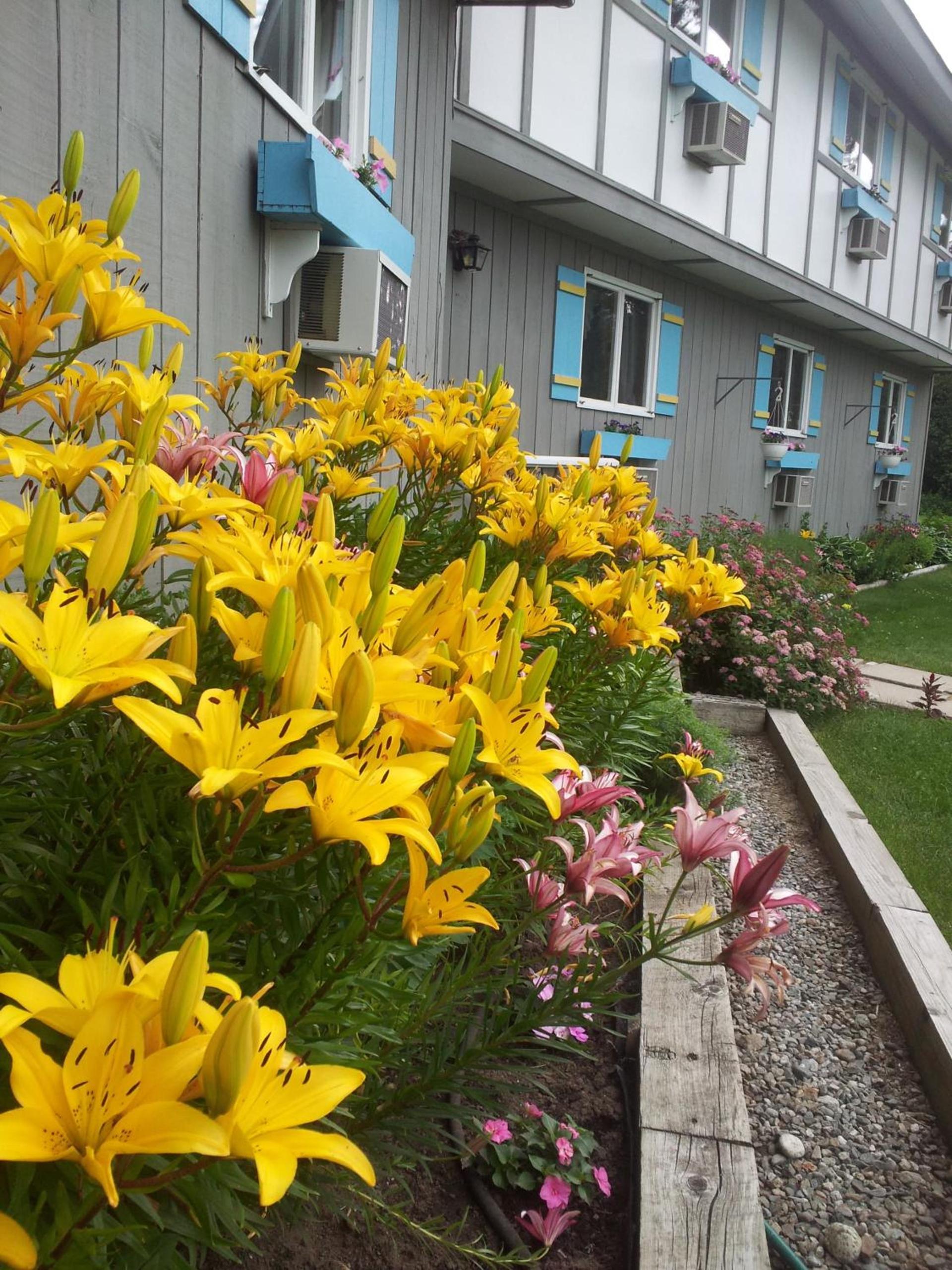 Carlson's Lodge photo 65