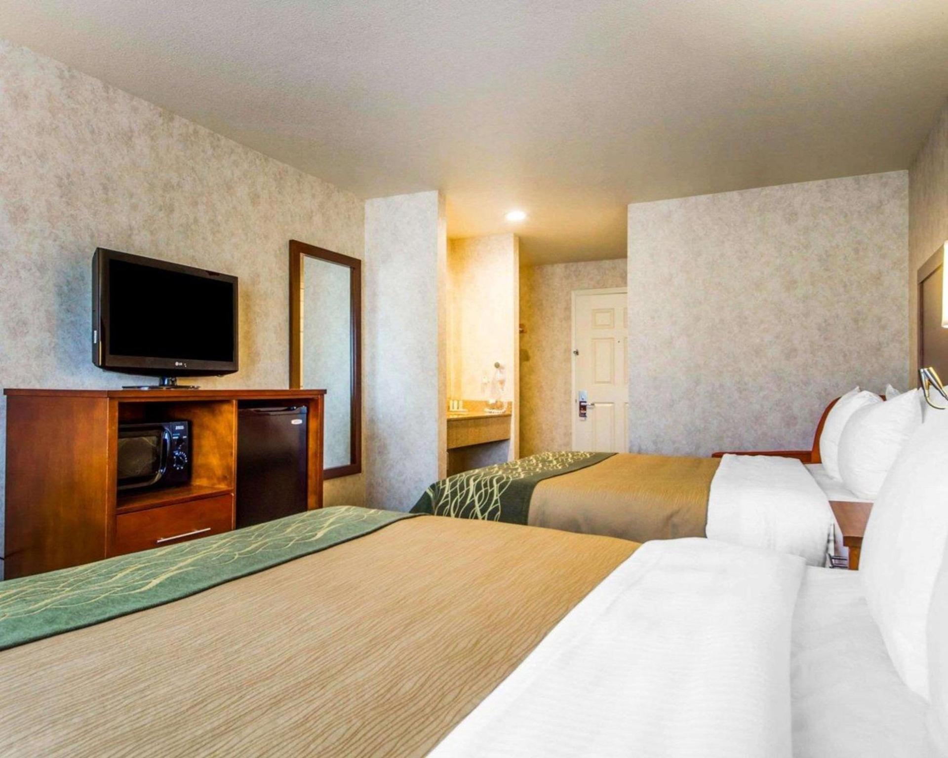 Comfort Inn Watsonville photo 4