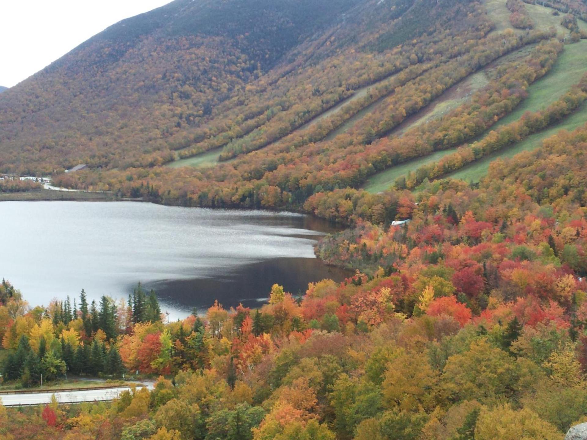 Carlson's Lodge photo 13