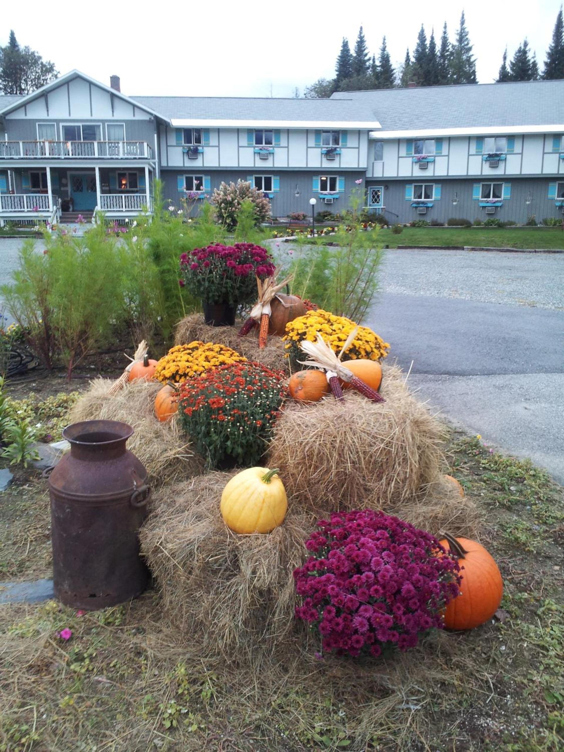 Carlson's Lodge photo 14