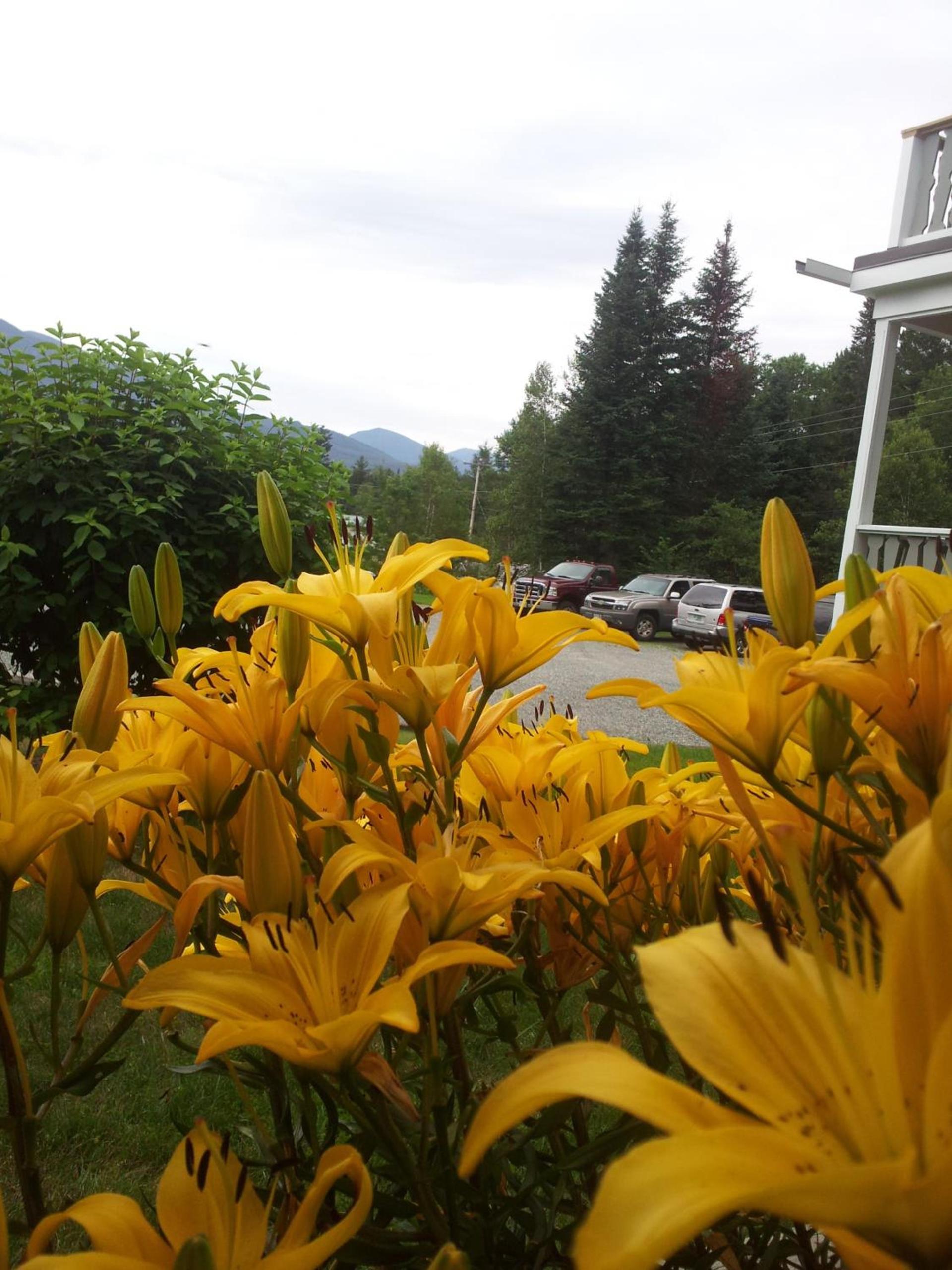 Carlson's Lodge photo 16