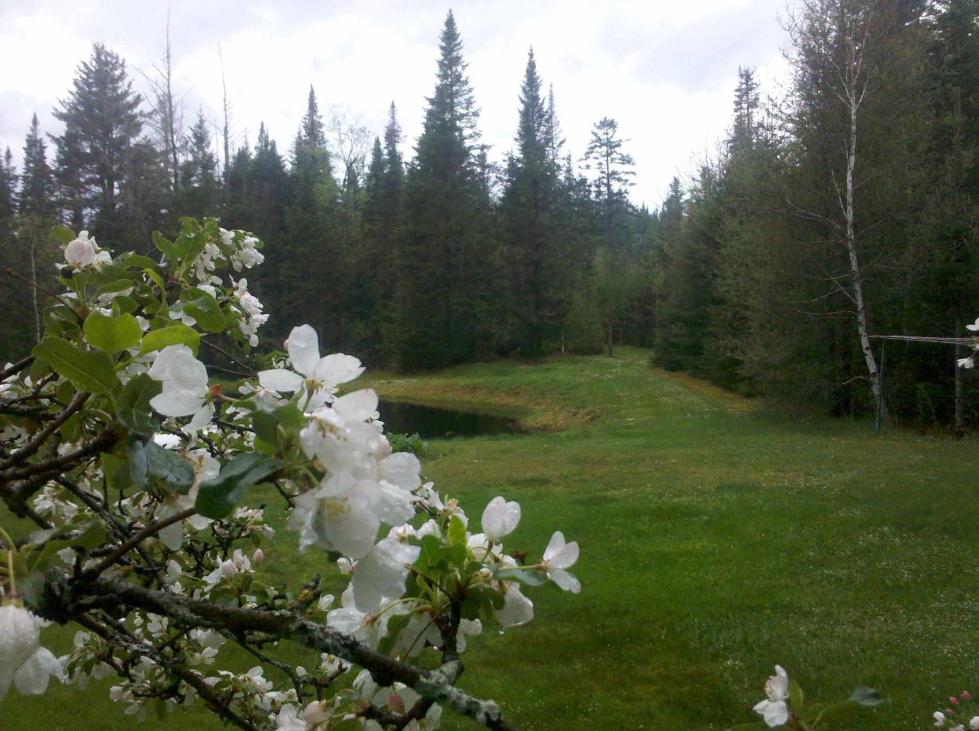 Carlson's Lodge photo 17