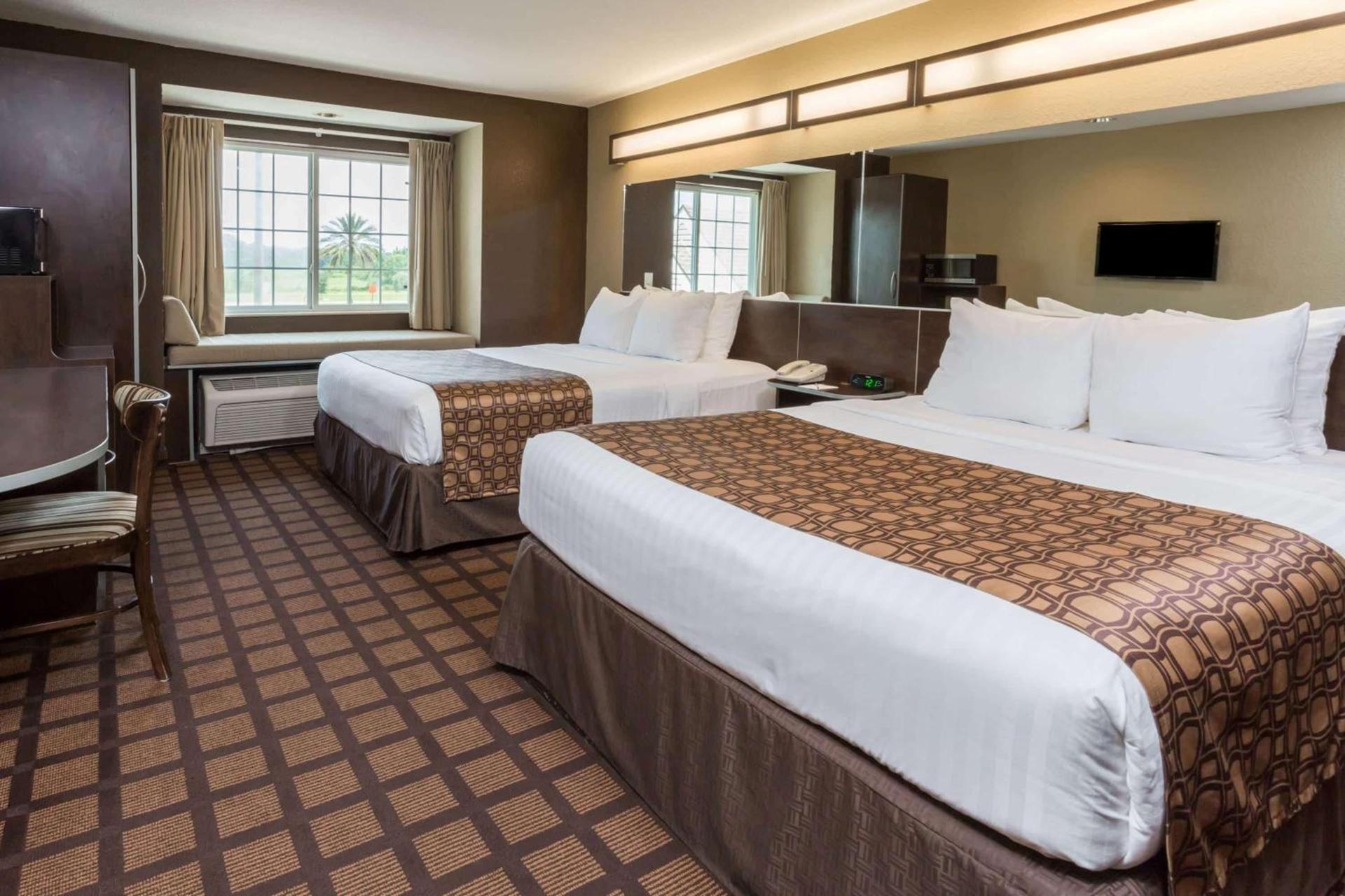 Microtel Inn & Suites by Wyndham Jacksonville Airport photo 4