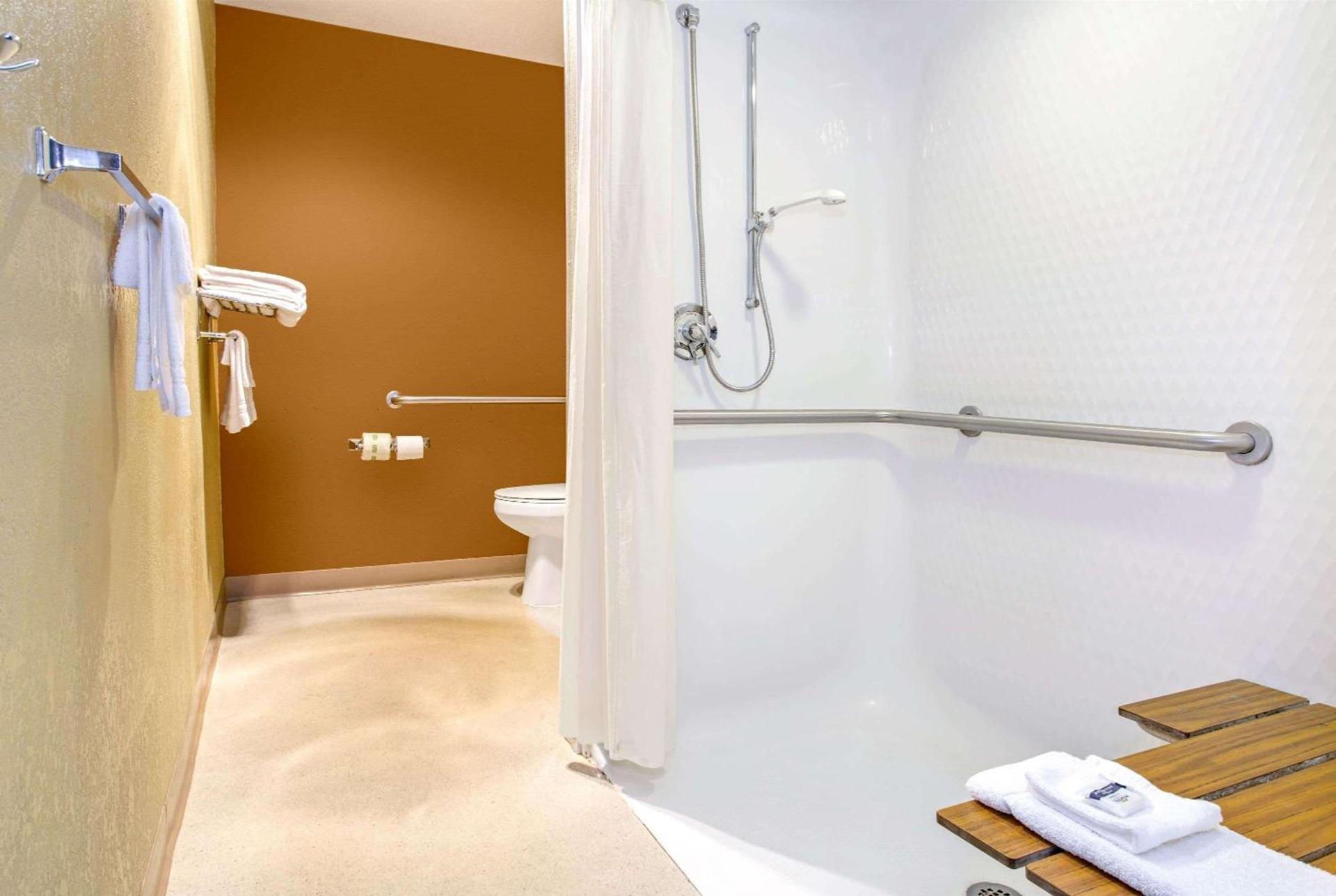 Microtel Inn & Suites by Wyndham Mason photo 19
