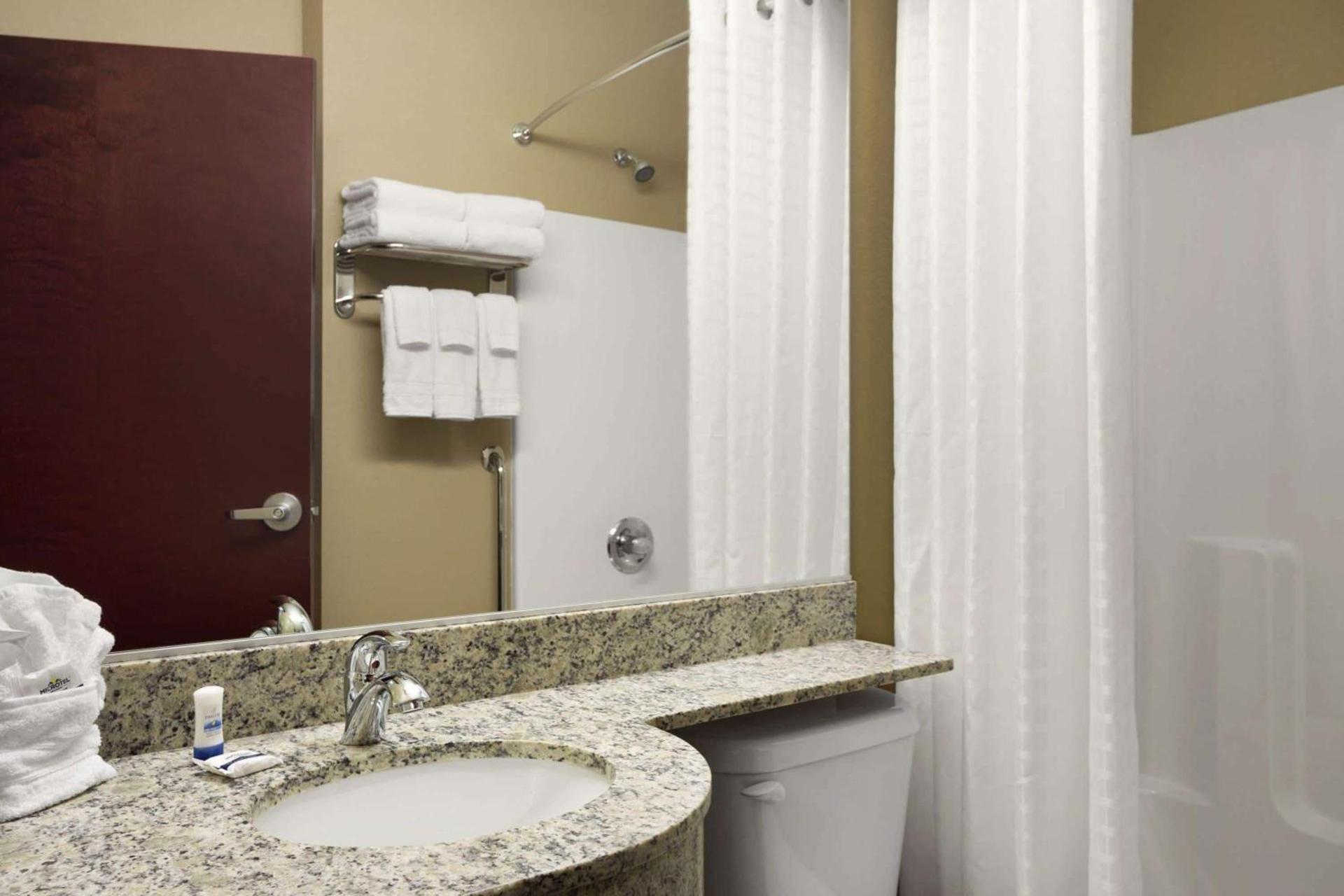 Microtel Inn and Suites Carrollton photo 7