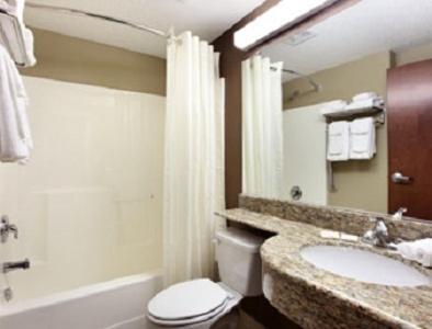 Microtel Inn & Suites by Wyndham Columbia photo 49