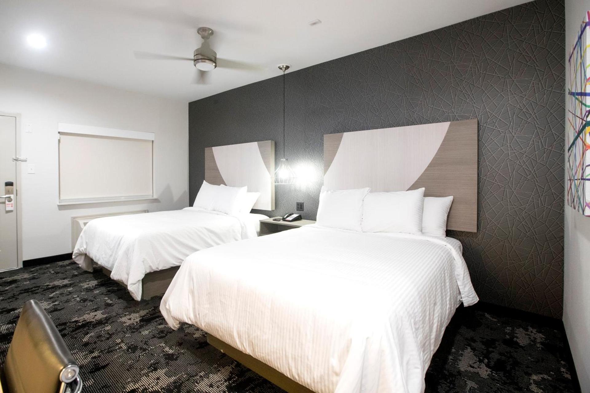 House Hotel photo 18