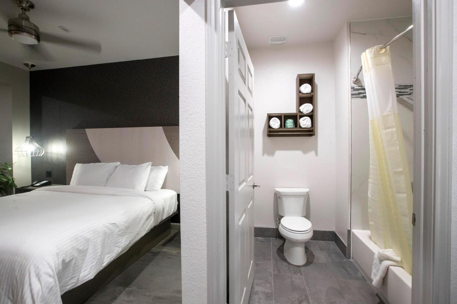 House Hotel photo 3