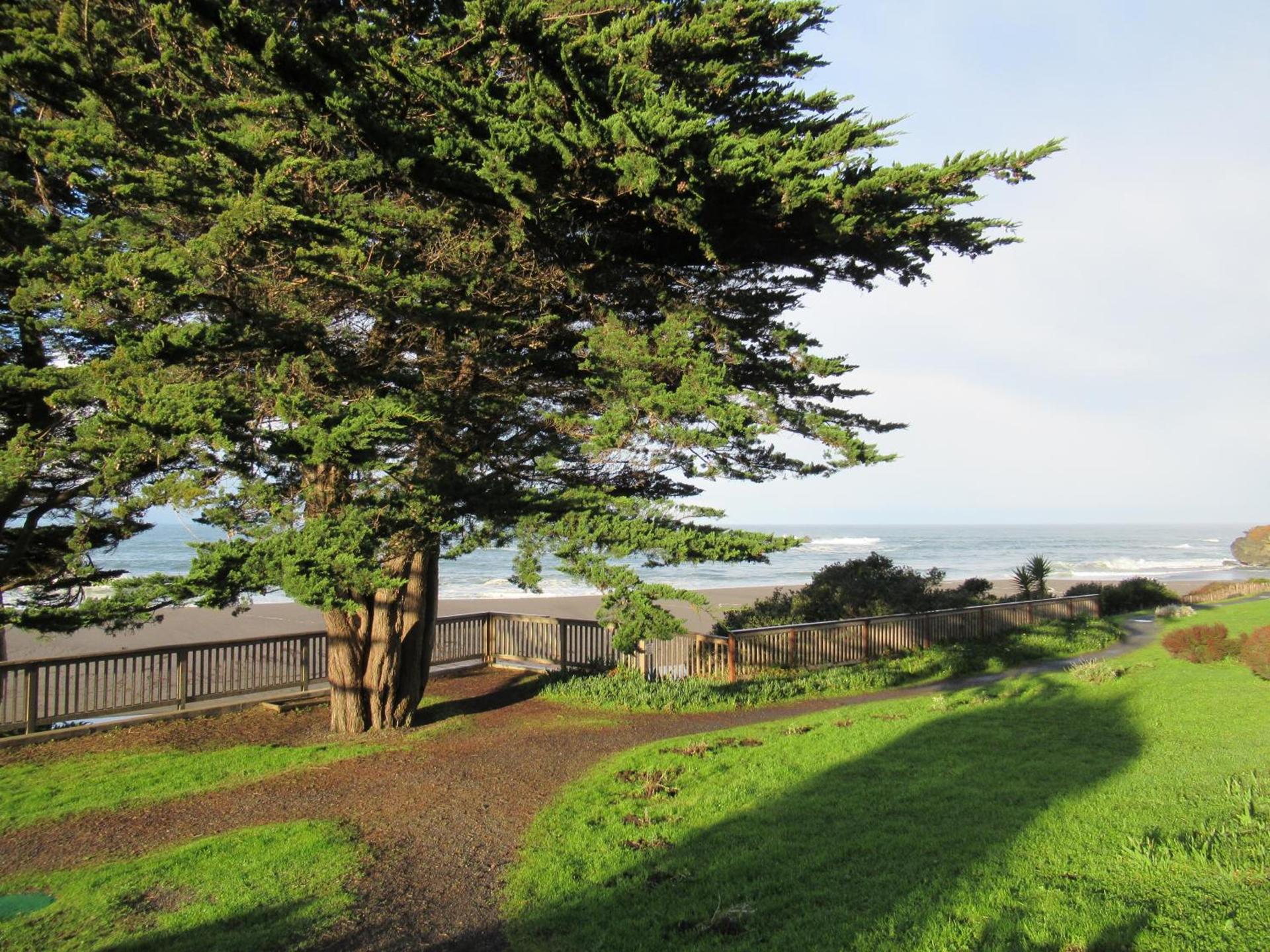 Gualala Country Inn photo 24