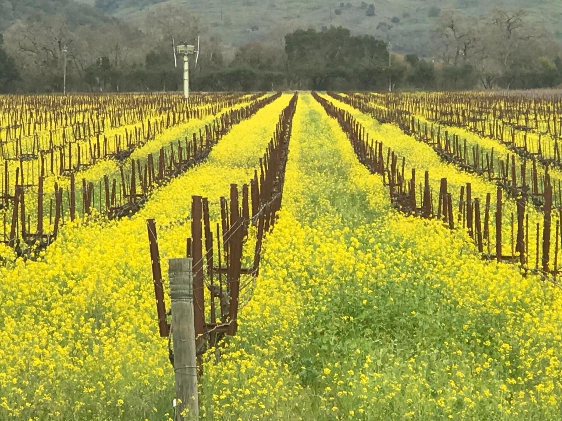 Chardonnay Lodge photo 25