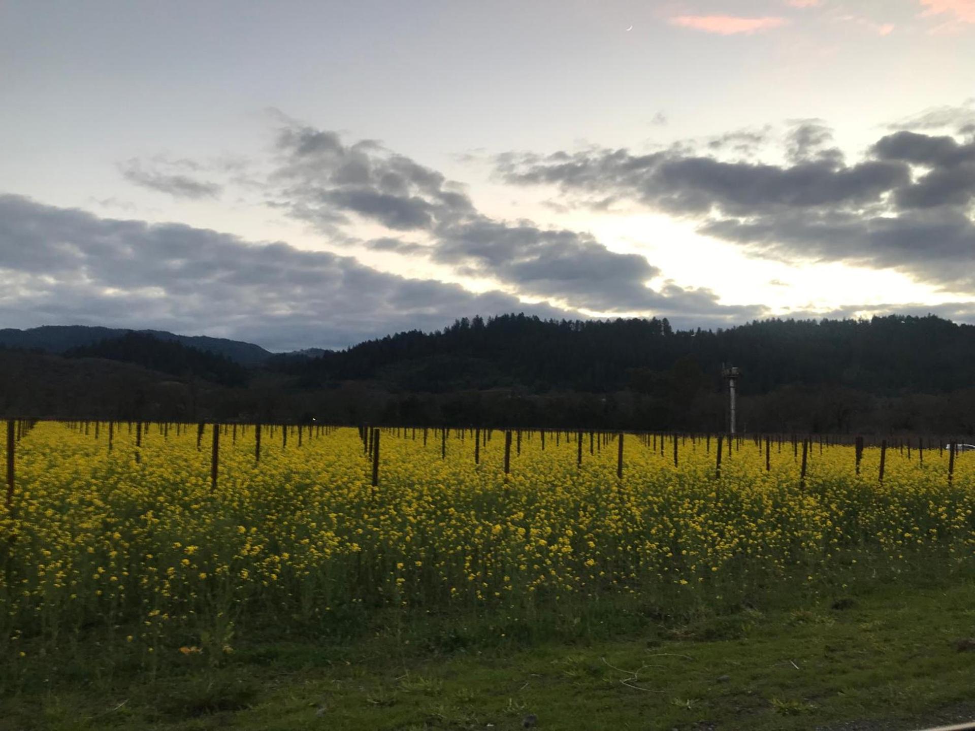 Chardonnay Lodge photo 23