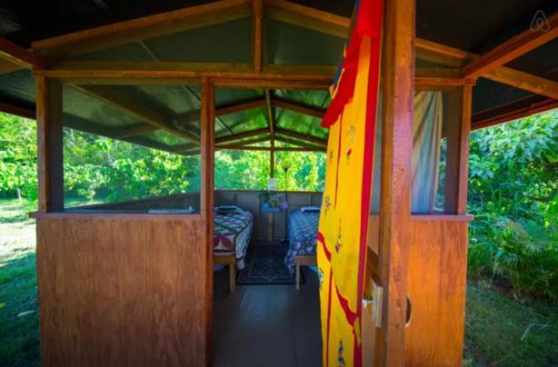 Kirpal Meditation and Ecological Center photo 5