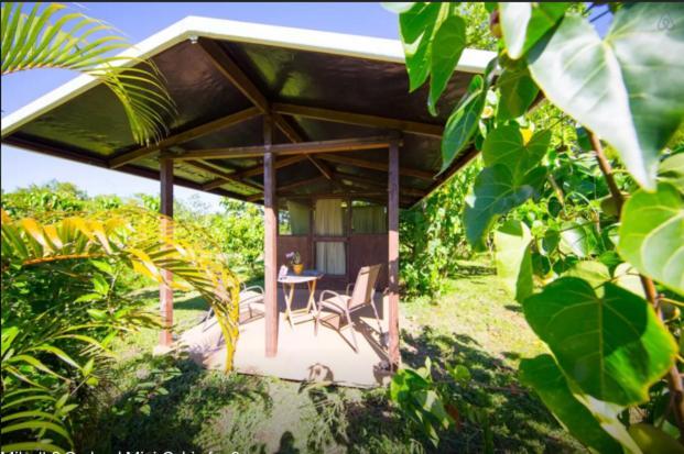 Kirpal Meditation and Ecological Center photo 4