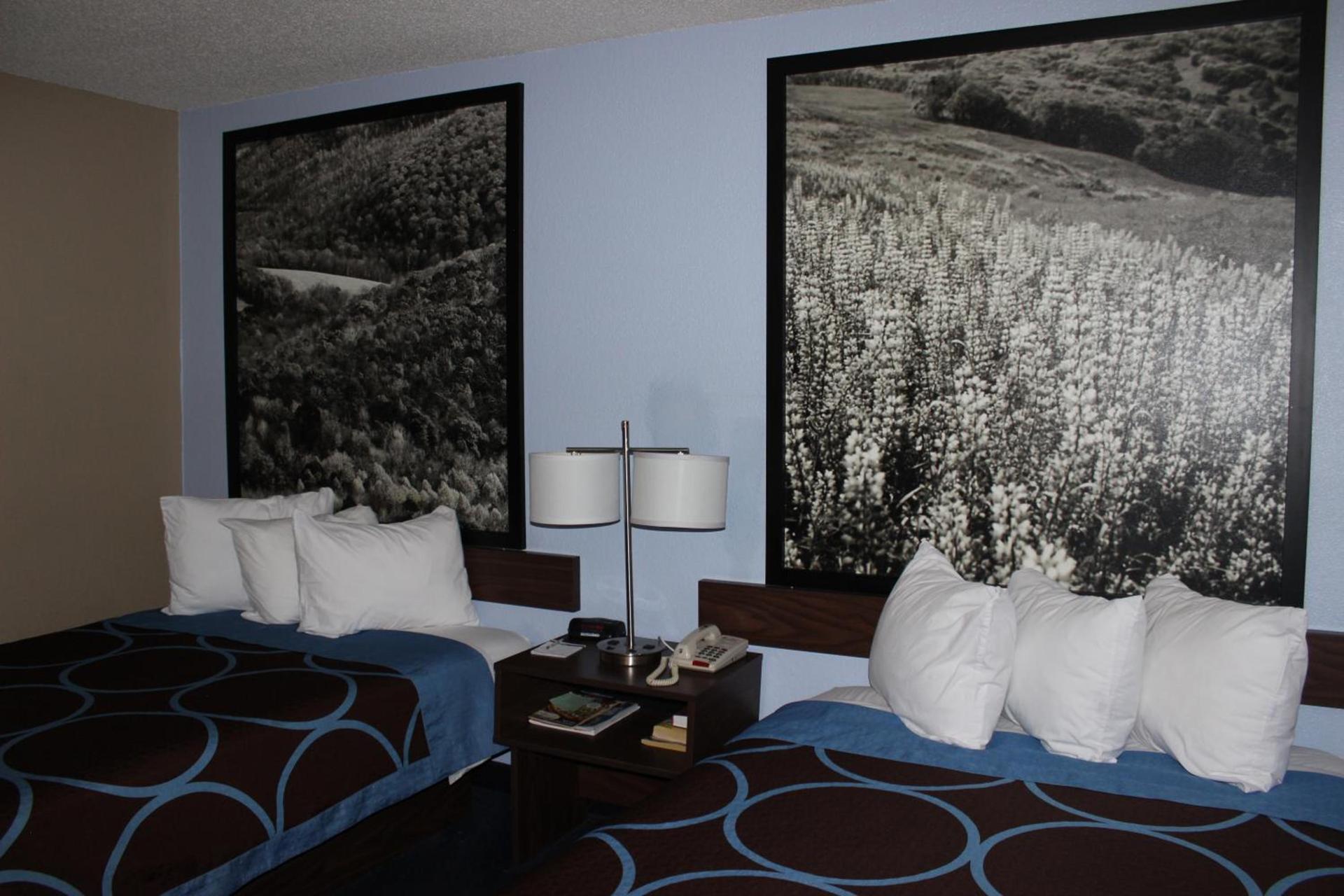 Super 8 by Wyndham East Stroudsburg - Poconos photo 35