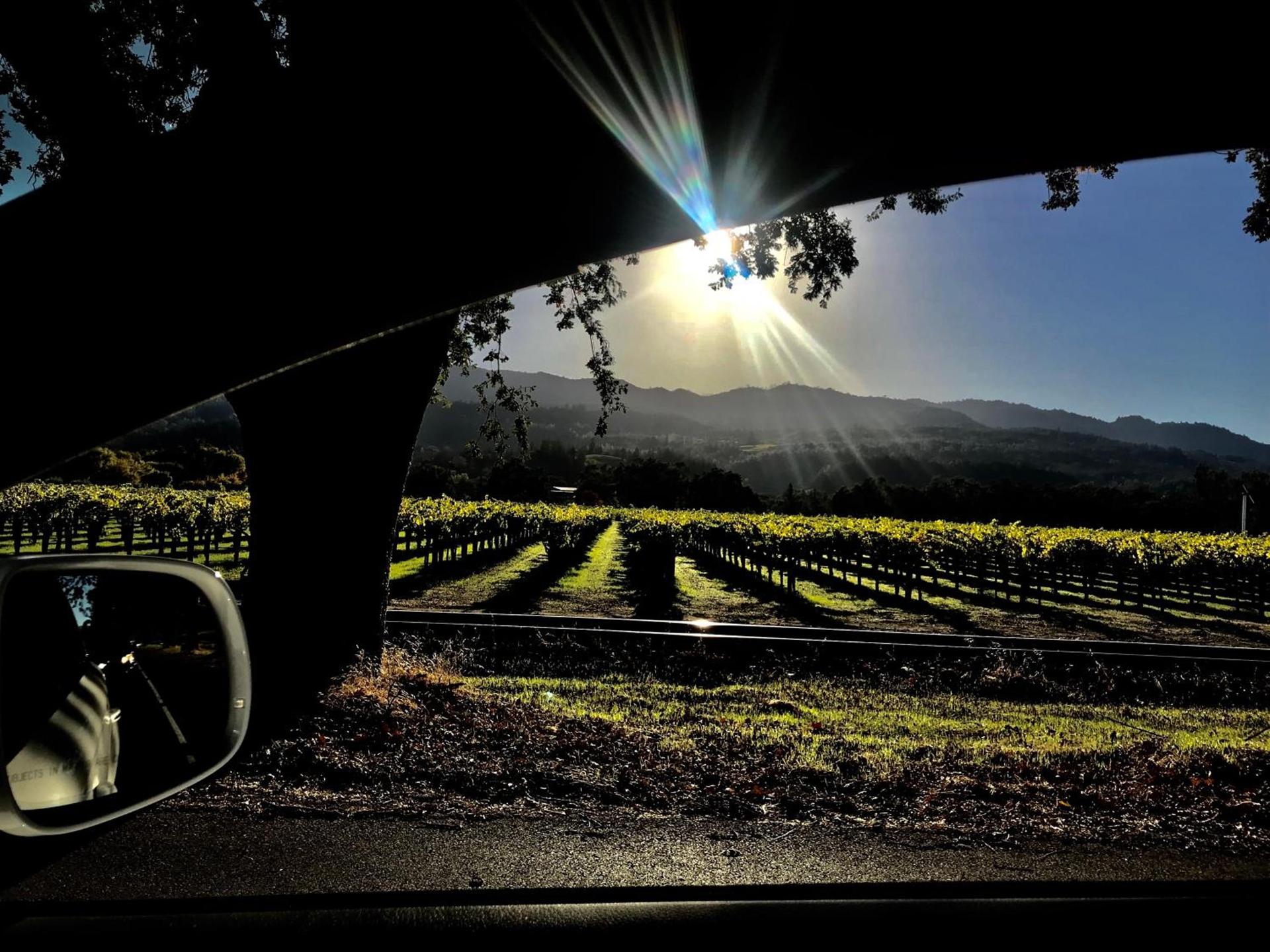 Chardonnay Lodge photo 21